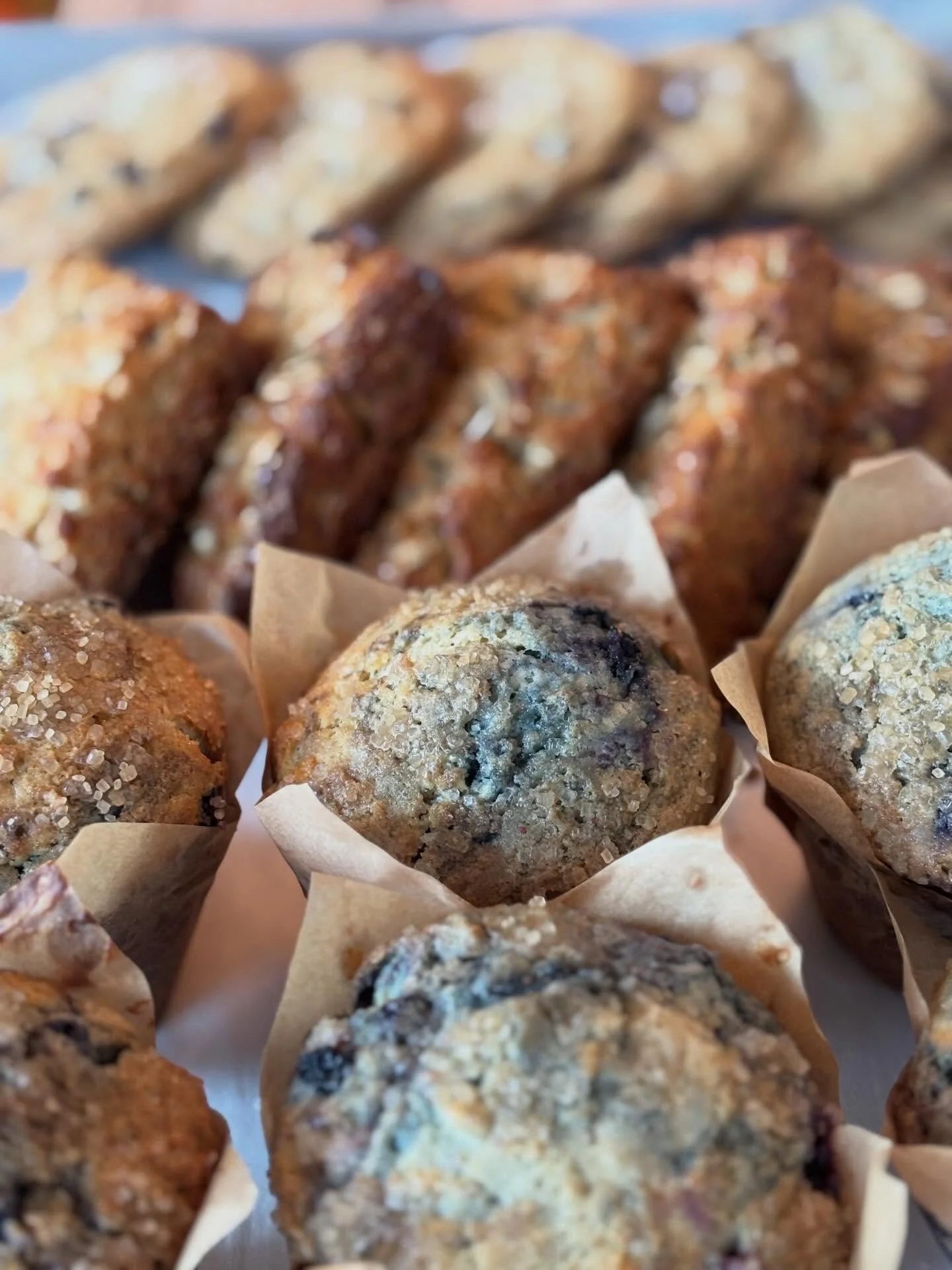 Sourdough is back @owlturtle ! After a little hiatus between holidays and injury, your favorite bakes are back - now on Wednesdays and Thursdays through the winter.

Today you&rsquo;ll find blueberry muffins, oat scones and dark chocolate sea salt co