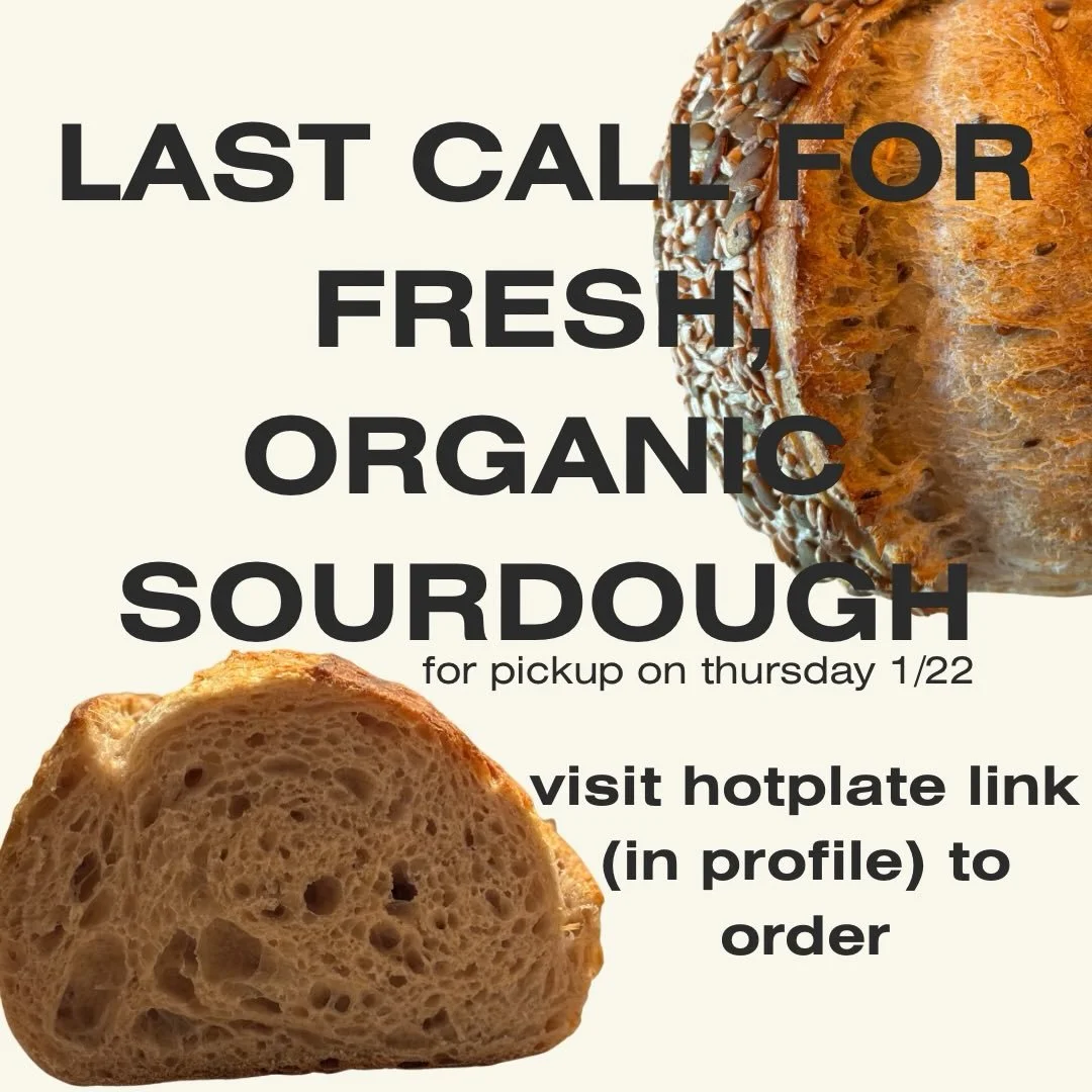 Just popping in with a friendly reminder to get your orders in for fresh, organic sourdough loaves (pickup on Thursday 1/22). Ordering closes tonight at 6pm, or upon selling out. 

Click the @hotplate link in profile 👆 

#camdenmaine #sourdough #org