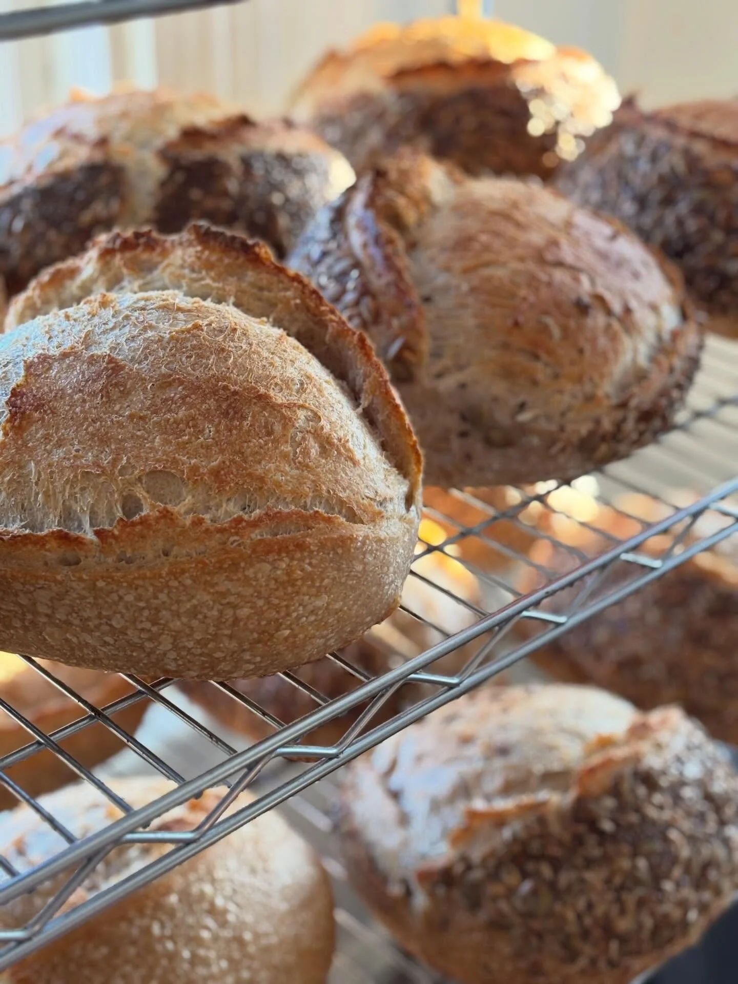 The sun is shining and extra, fresh baked sourdough is out on the porch! Stop by before 3:30pm to pick up a loaf of bread or box of muffins to nourish your day.

*organic classic
*seeded
*organic 50/50 whole wheat
*blueberry muffins (just one box!)

