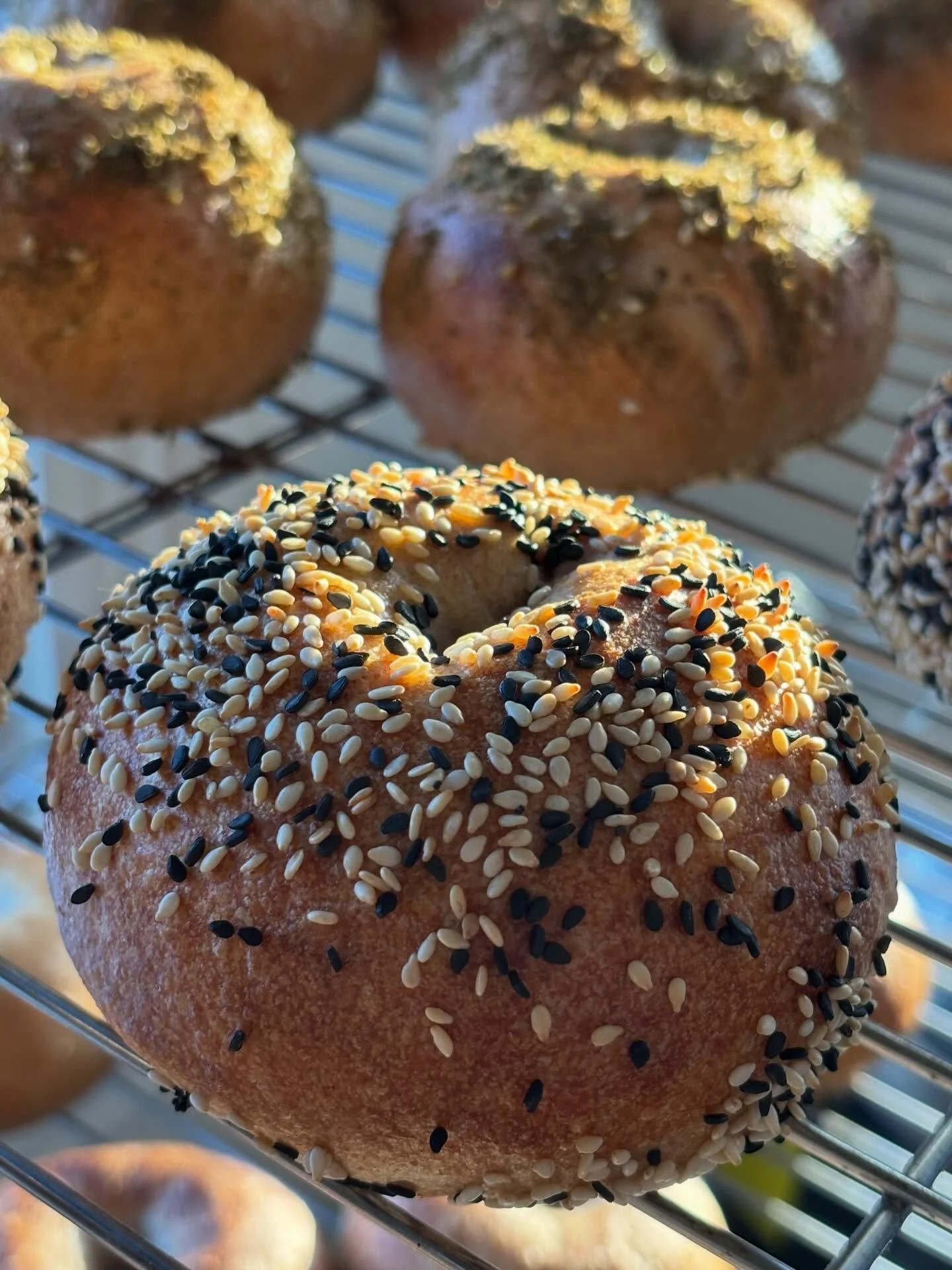 There is a brief time every morning when the sun streams into the bakery and it&rsquo;s my favorite - takes my breath away and makes me grateful every time. 

Also - trans rights ARE human rights. Trans people are not hurting anyone with their existe