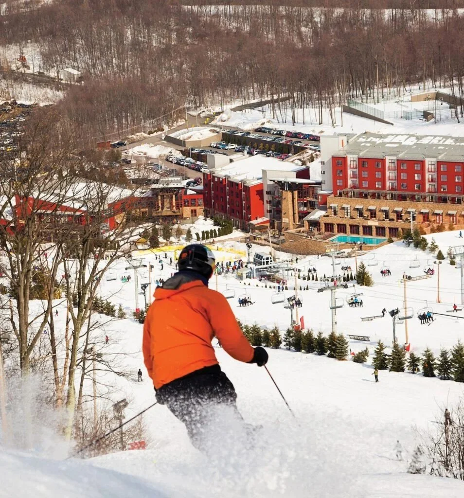 Bear Creek Mountain Basket: $400 Value