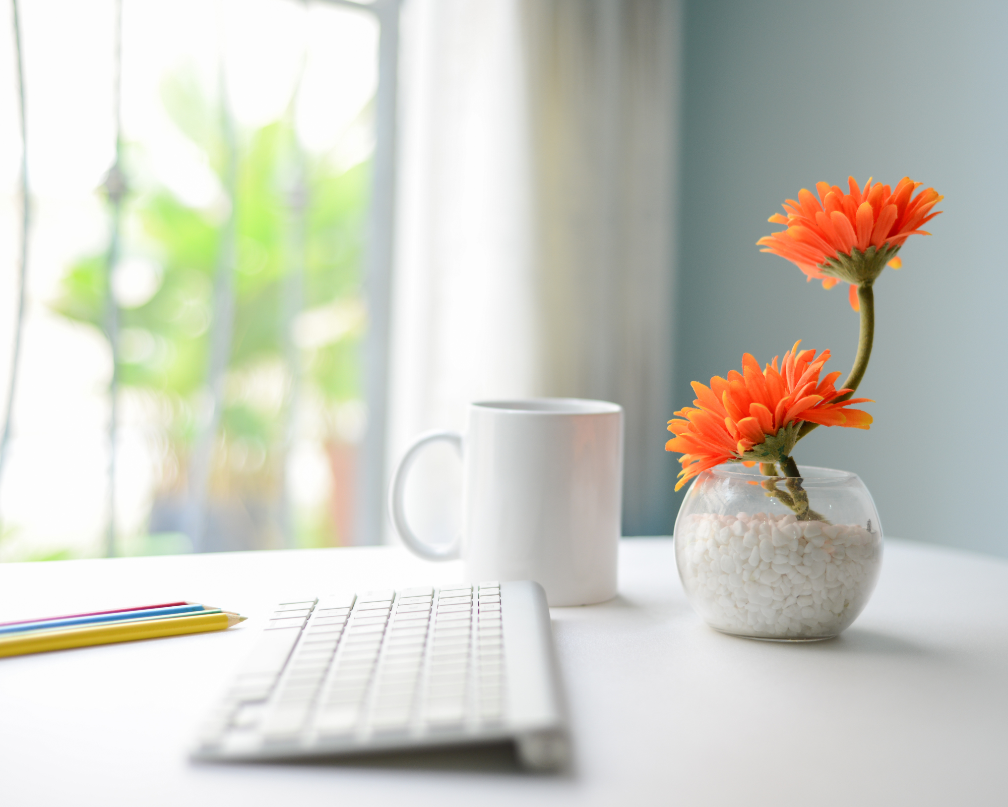Keyboard, coffee mug, and small potted flower on a desk, symbolizing a comfortable setting for online therapy in Connecticut.