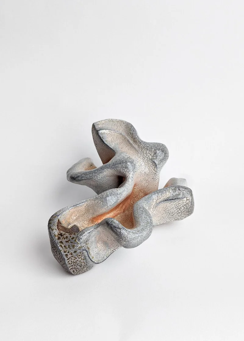 Elena Mahno_BECOMING VIa.jpg