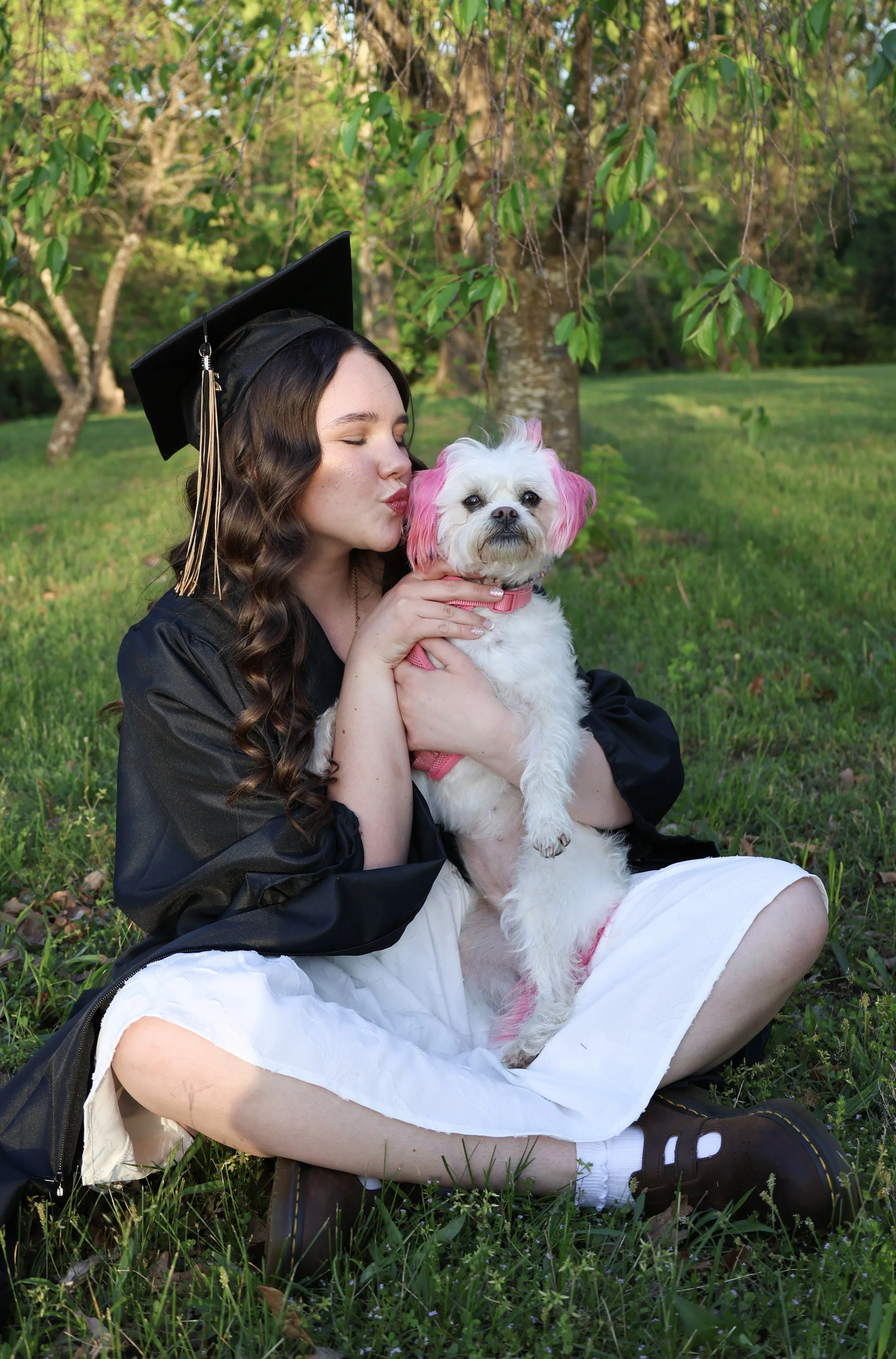 A young woman in a black graduation cap and gown holding a white dog with pink coloring on its ears and a pink collar, sitting on grass in a park with green trees in the background.
