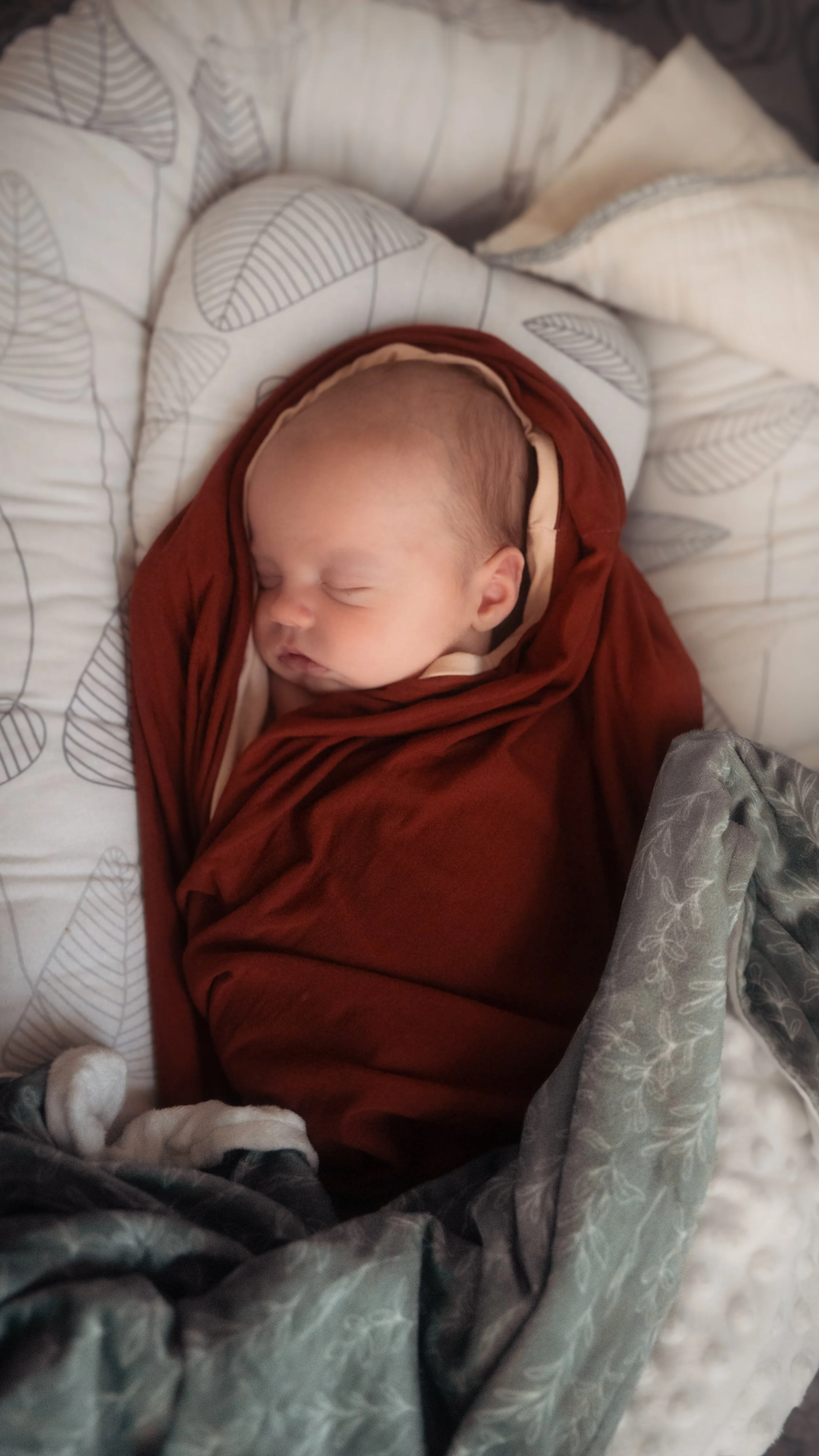 BabyLewisJuly2024.jpg