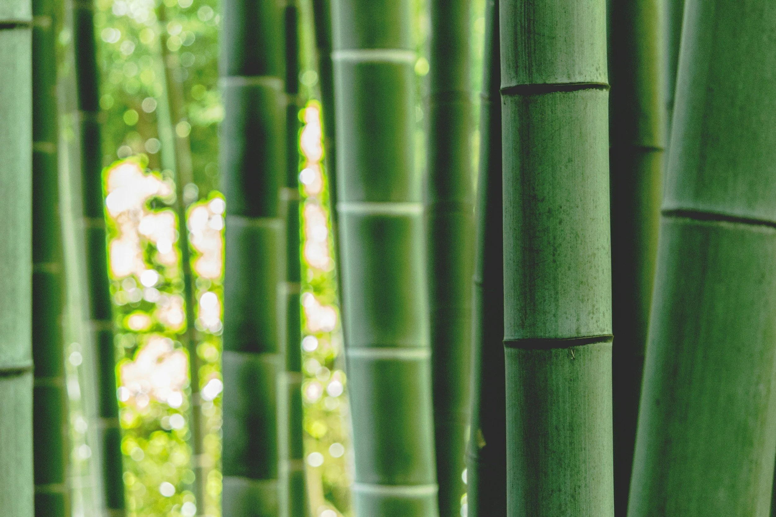 Why use Bamboo during a Massage?