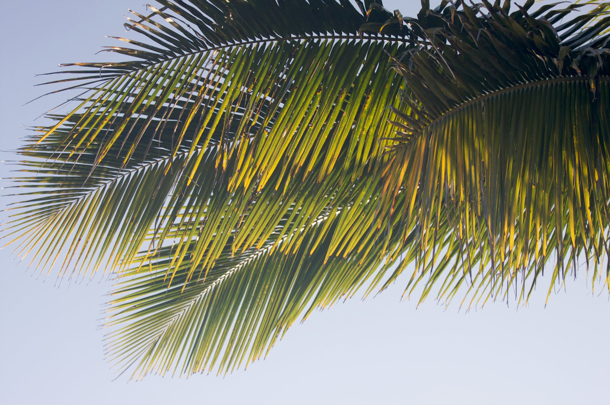 AdobeStock_9947109.jpeg