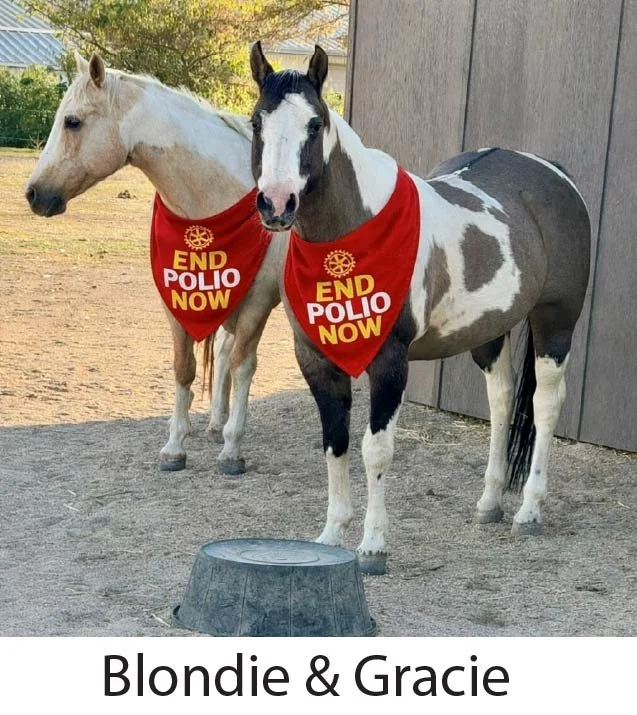 bLONDIE AND gRACIE.jpg