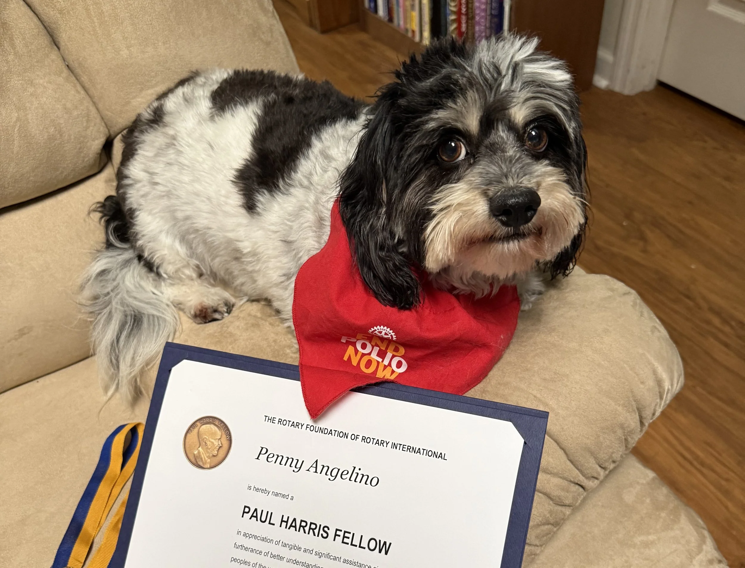 Penny Becomes the Kennel Klub's First Paul Harris Fellow