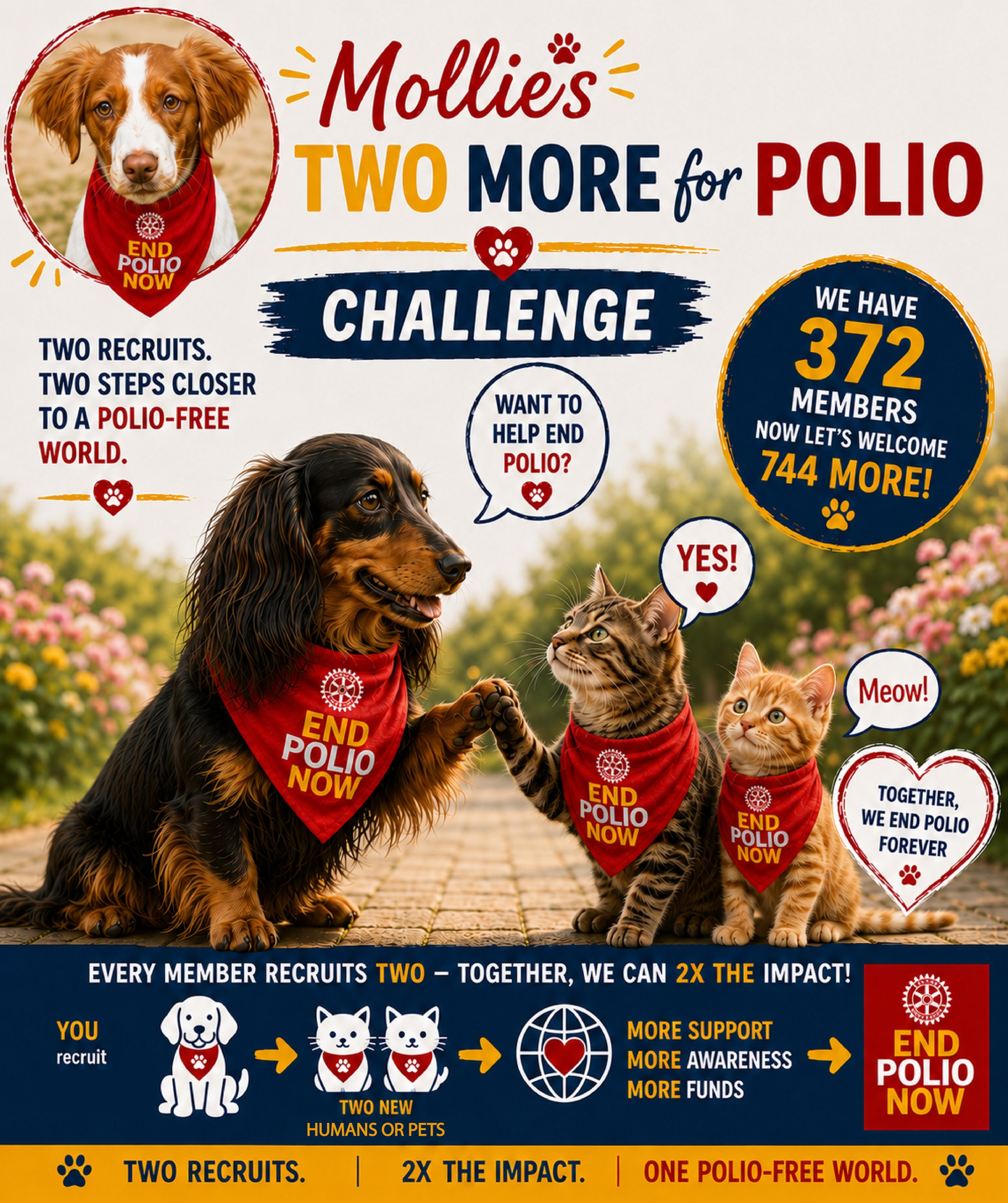 Mollie’s 2 More for Polio Challenge has Launched