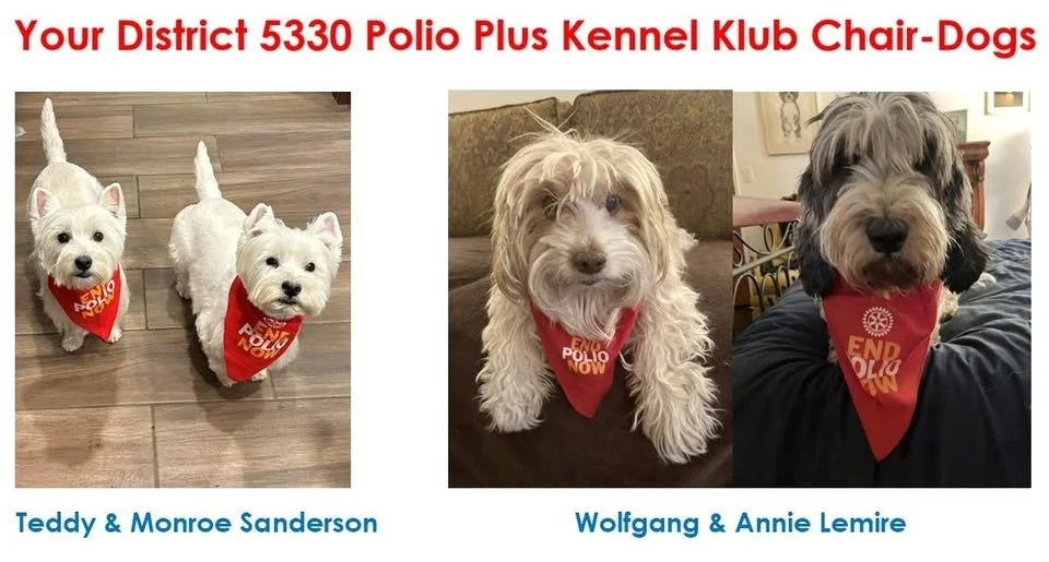 A Friendly Challenge with Big Potential: District 5330 Aims for 100 New Kennel Klub Members