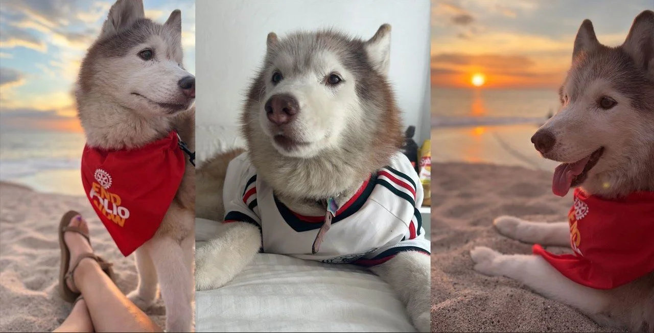 Welcome, Nabooru! Mexico Becomes the Kennel Klub’s 14th Country