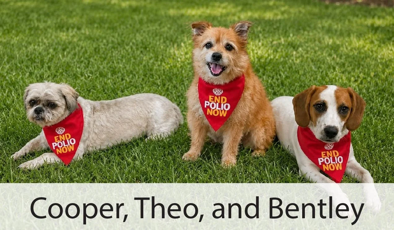 Cooper, Theo, and Bentley.jpg
