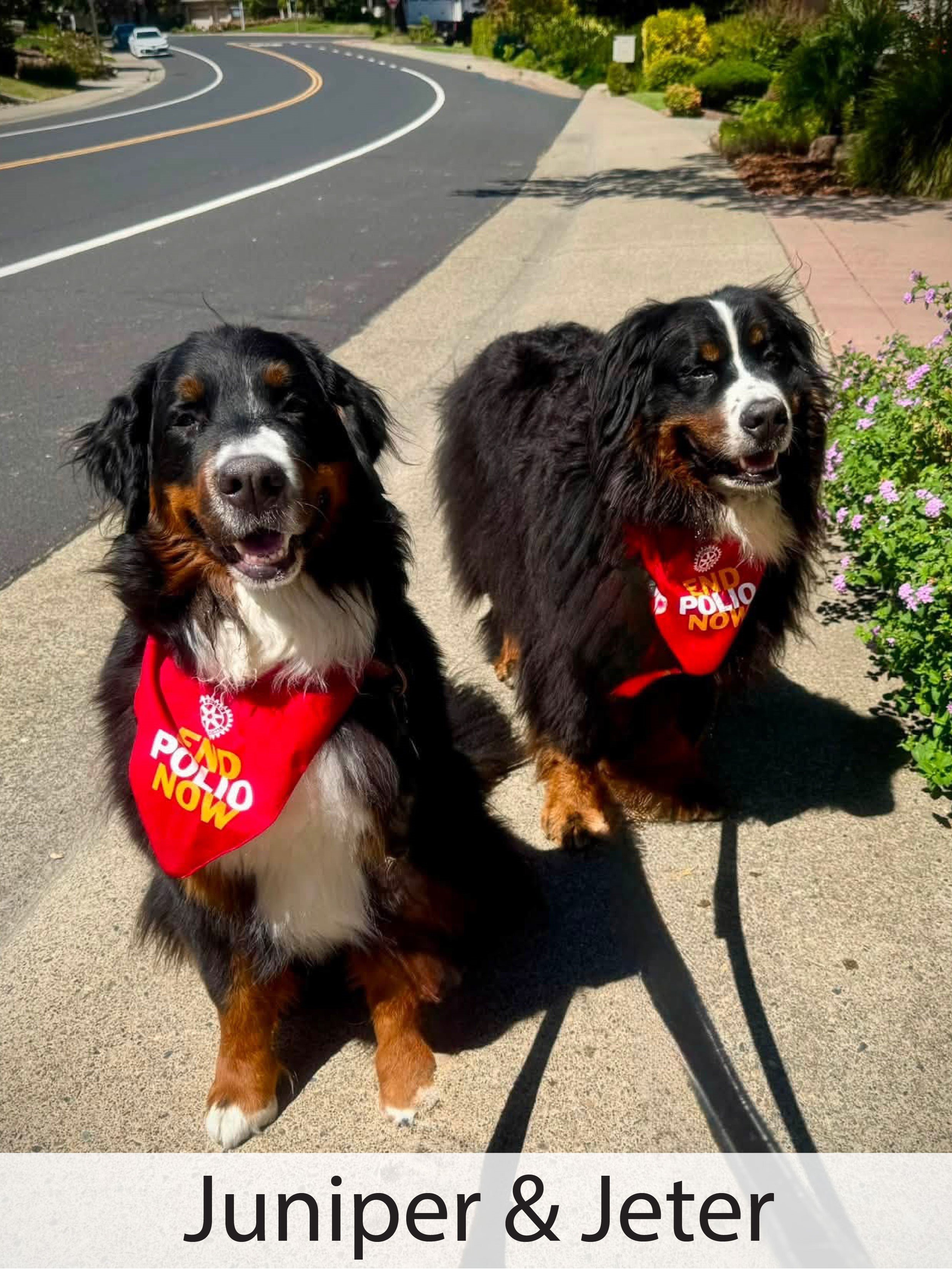Juniper & Jeter.jpg