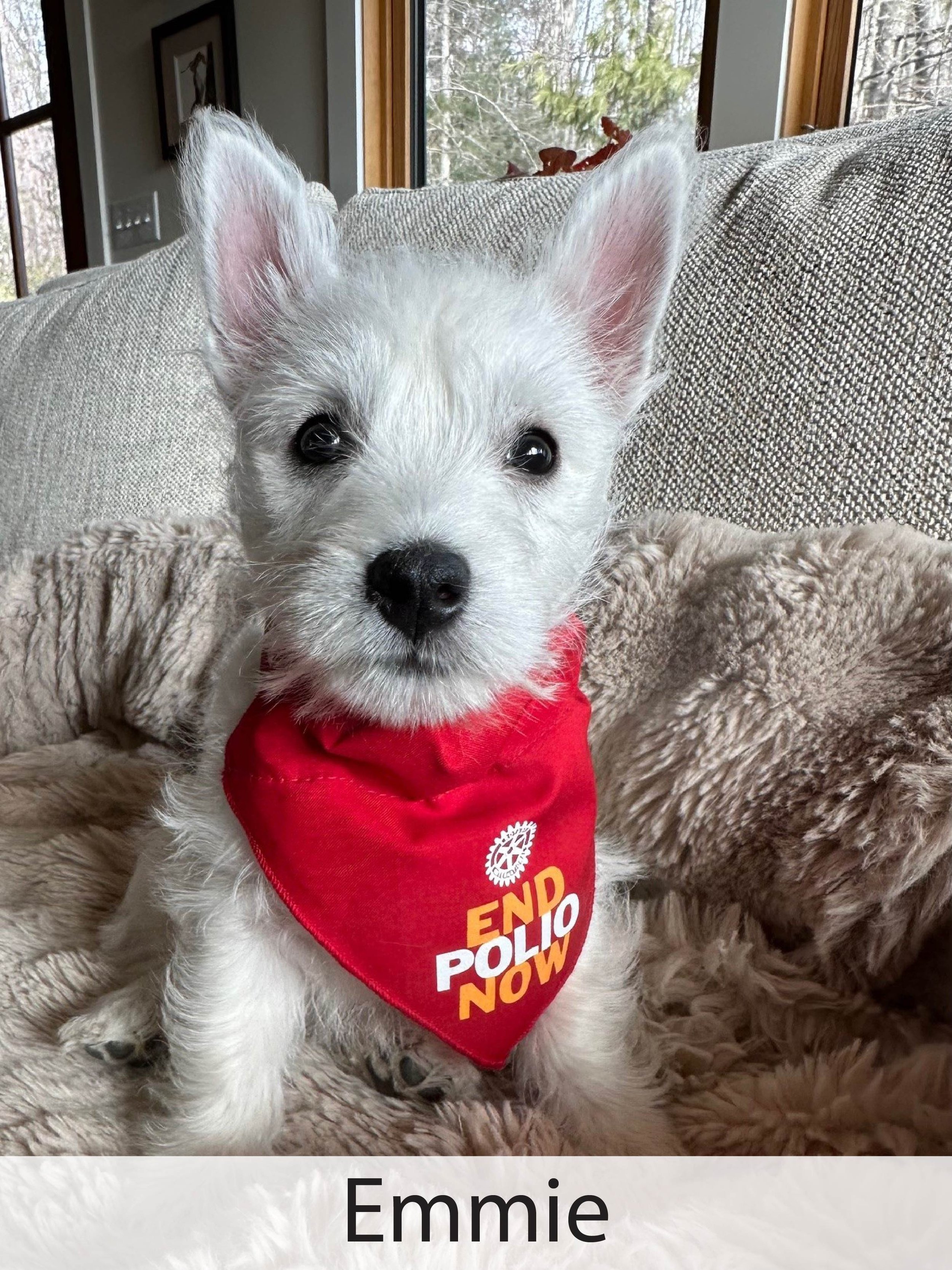 Emmie1.jpg