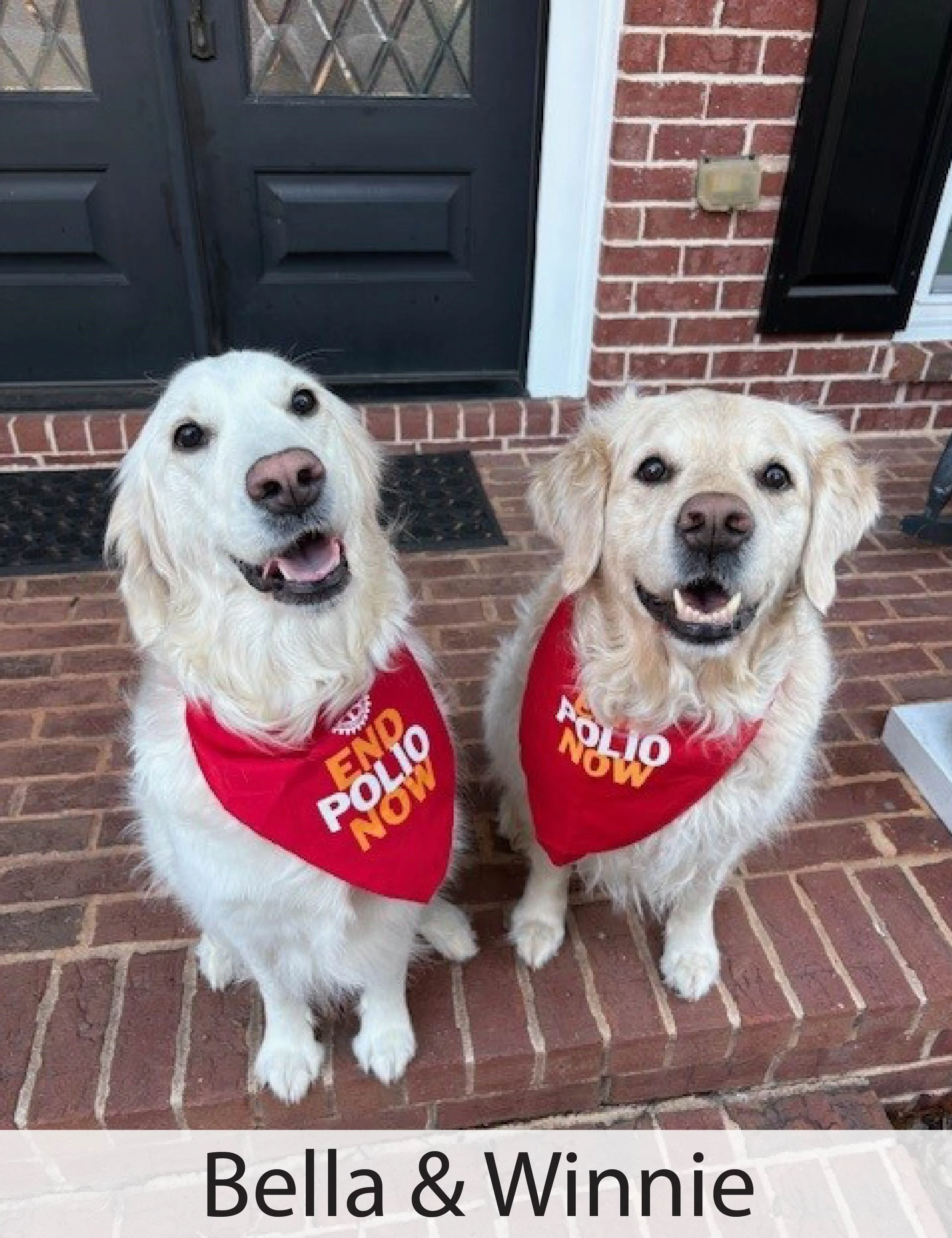 Bella and Winnie Hall.jpg