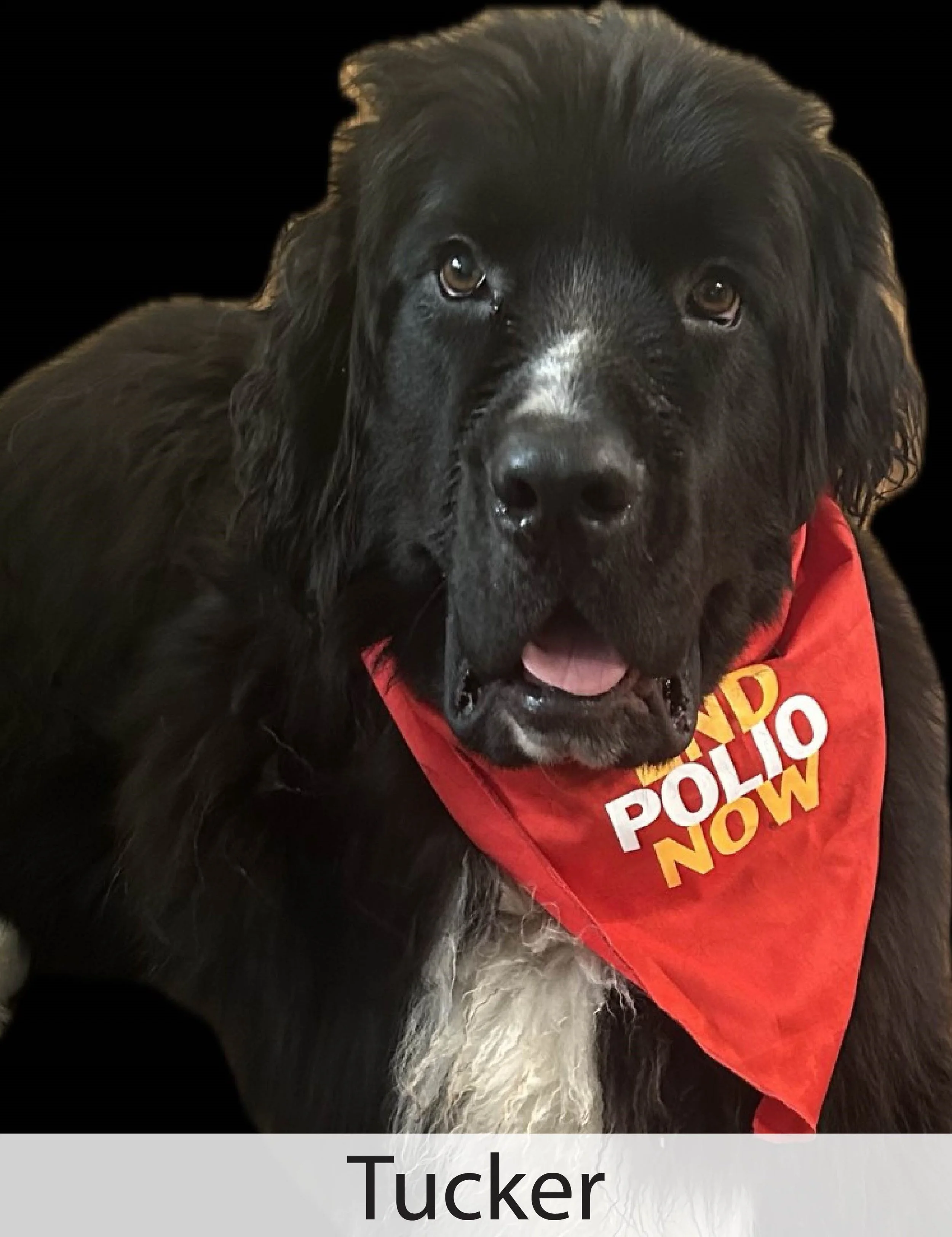 Tucker2.jpg