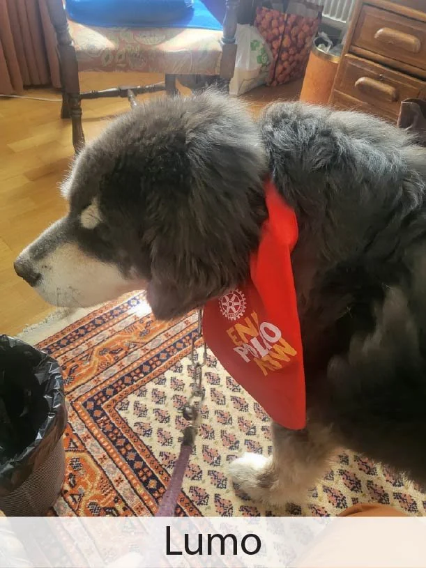 Lumo2.jpg