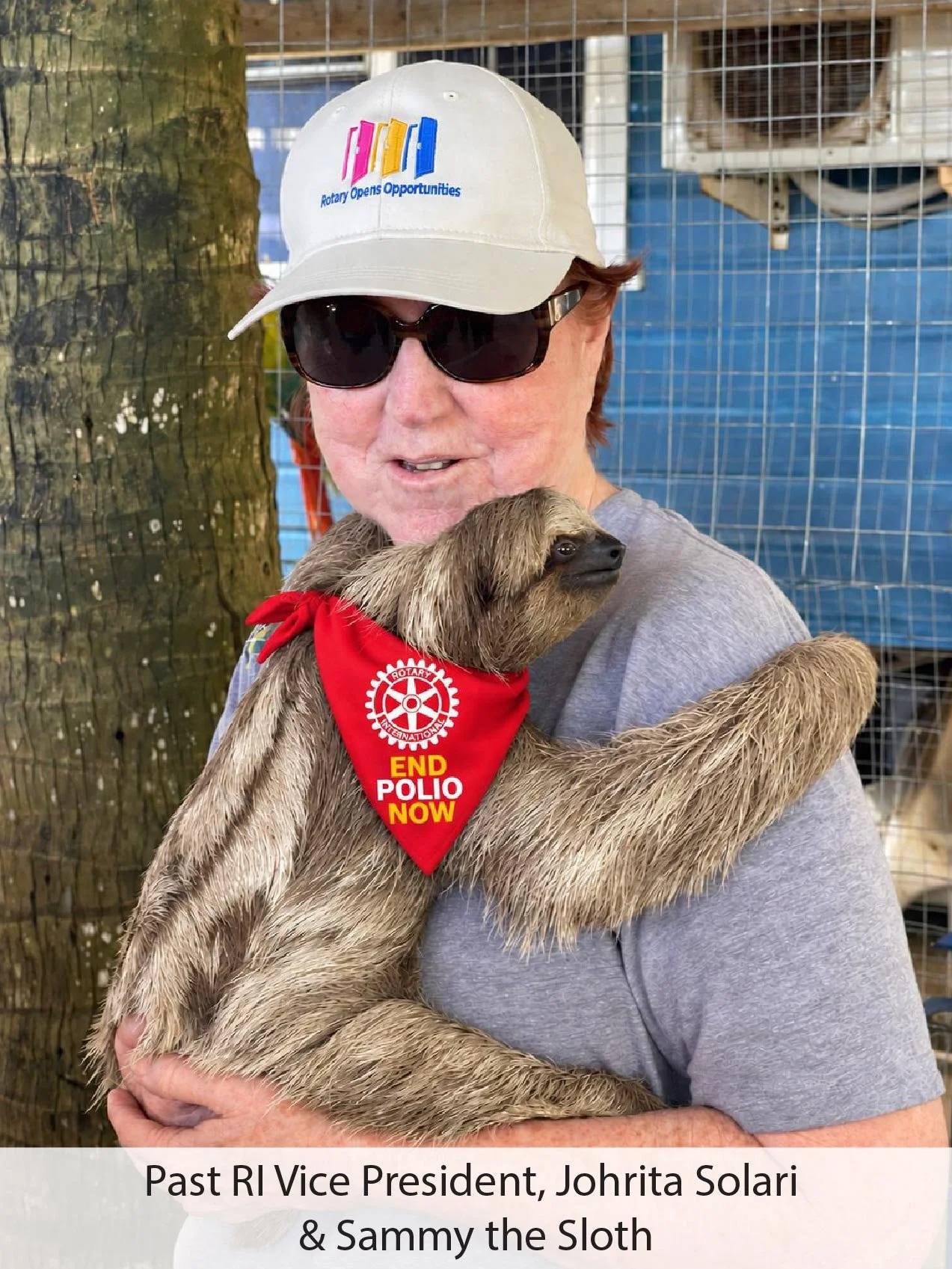 Sammy Sloth Web.jpg