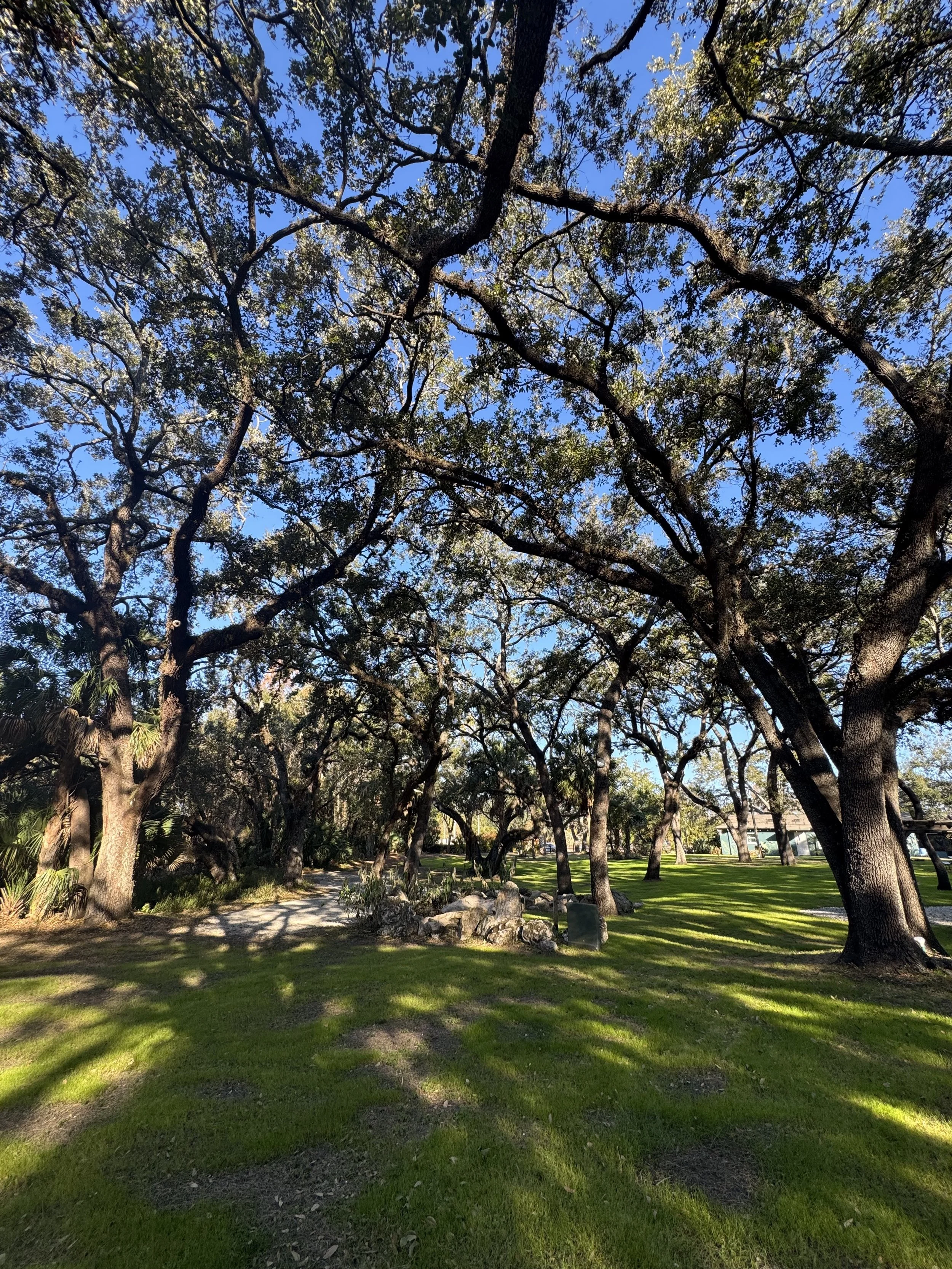 Waking Up From Winter: A Morning of Connection and Community