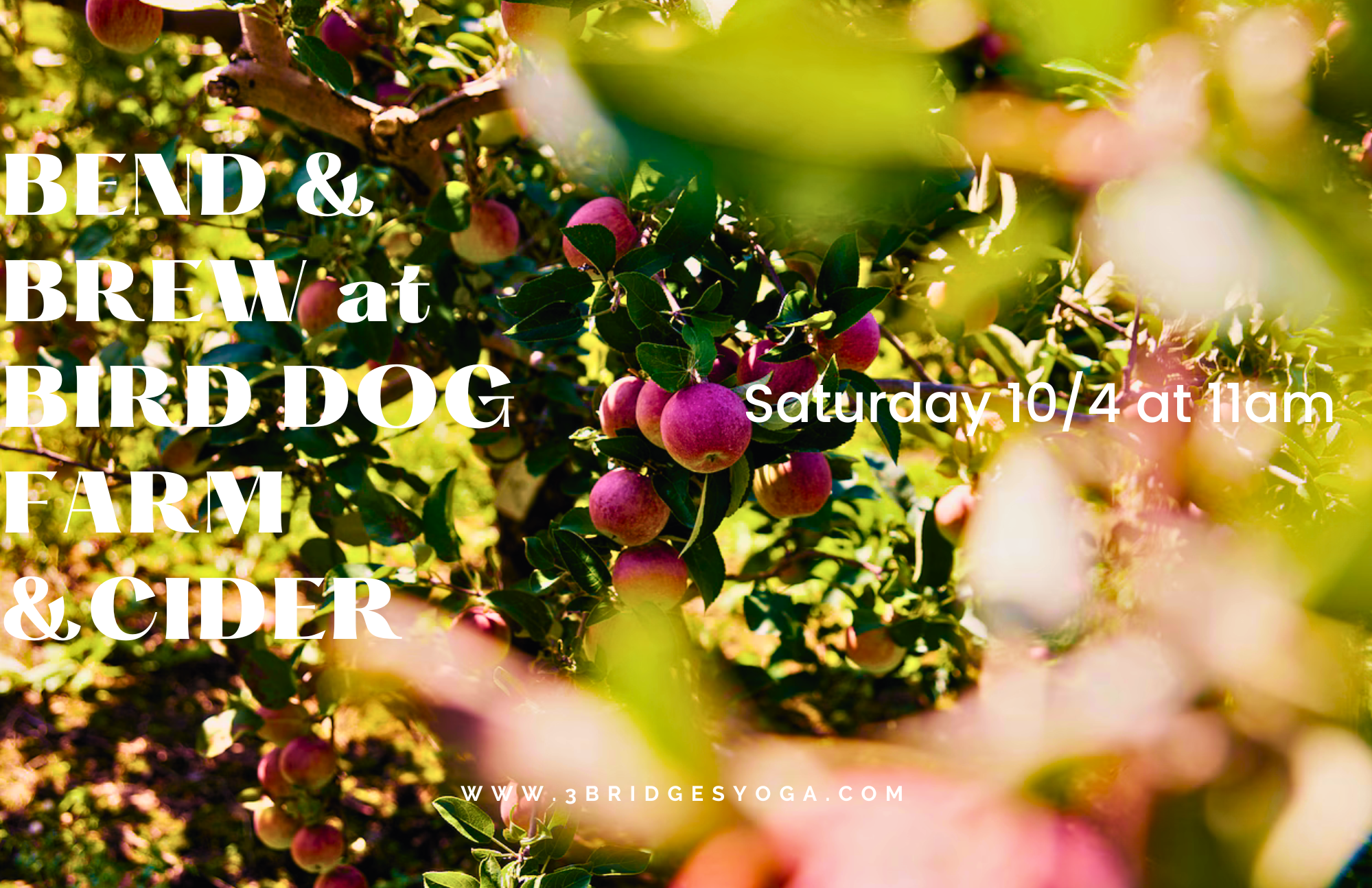 BEND & BREW at BIRD DOG CIDER