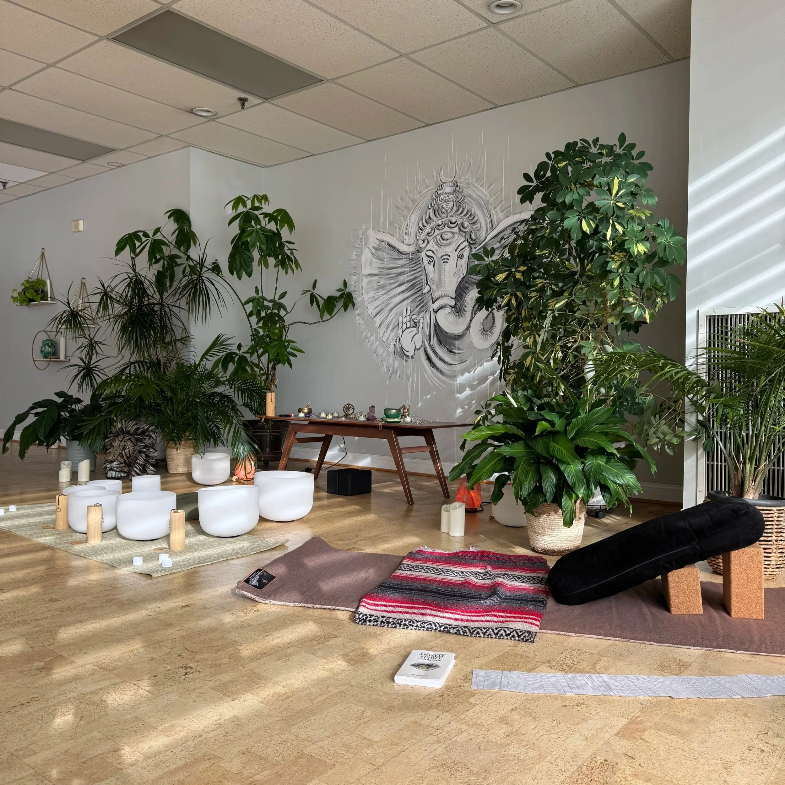 YIN UNWIND WITH HOLLY 