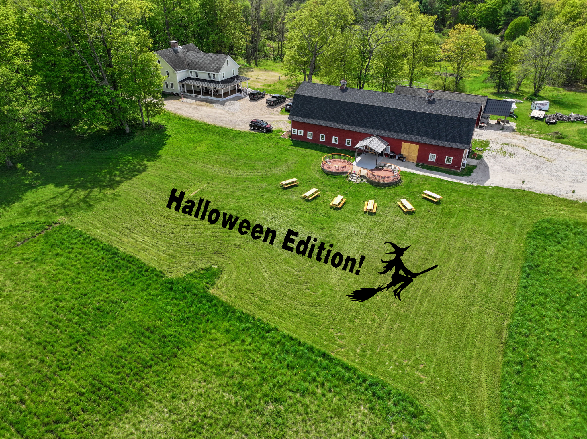 YOGA + CIDER AT BIRD DOG ~ HALLOWEEN EDITION!