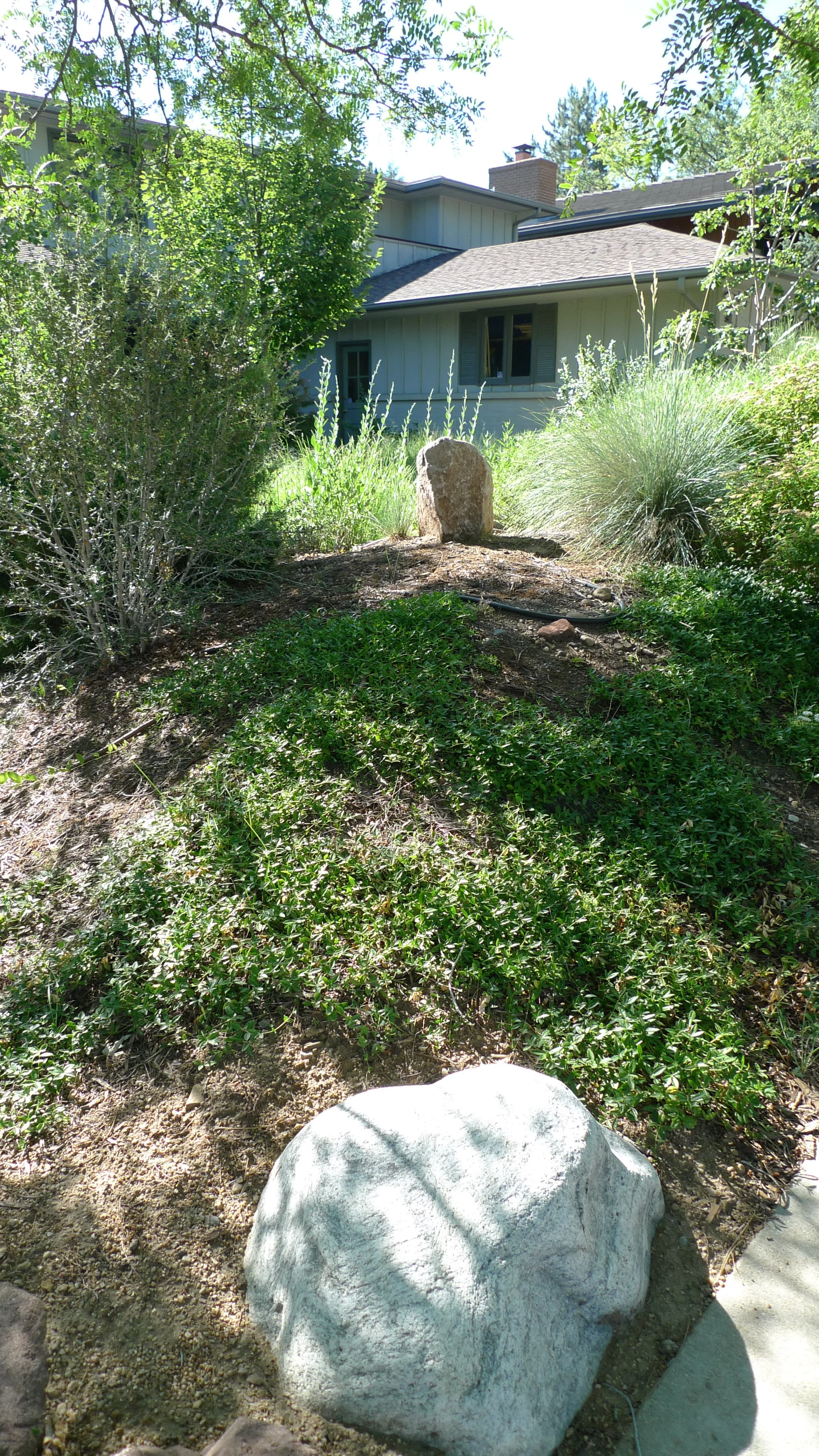 Eve and Zalman 2.JPG