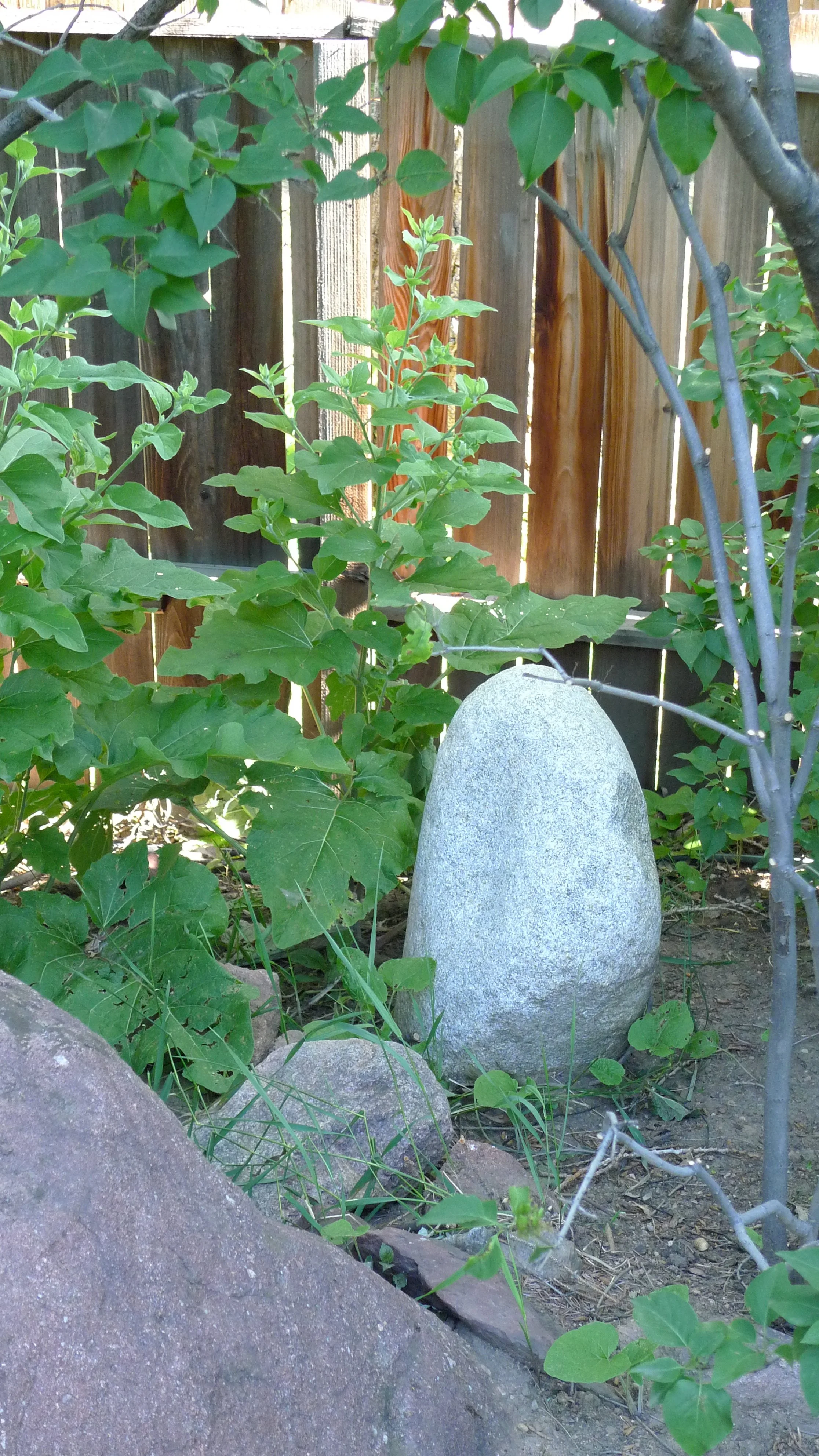 Eve and Zalman's.JPG