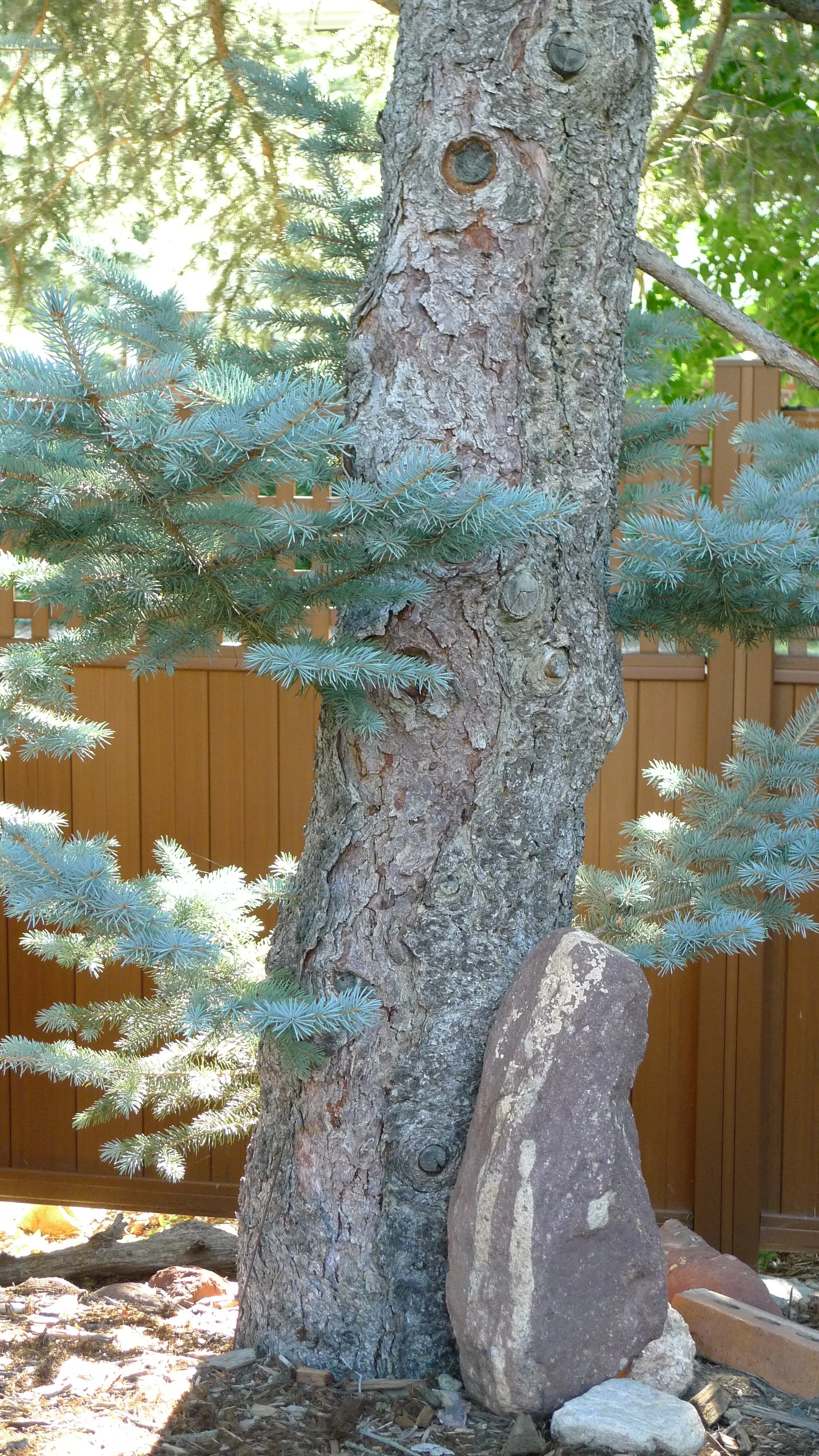 Eve and Zalman 3.JPG