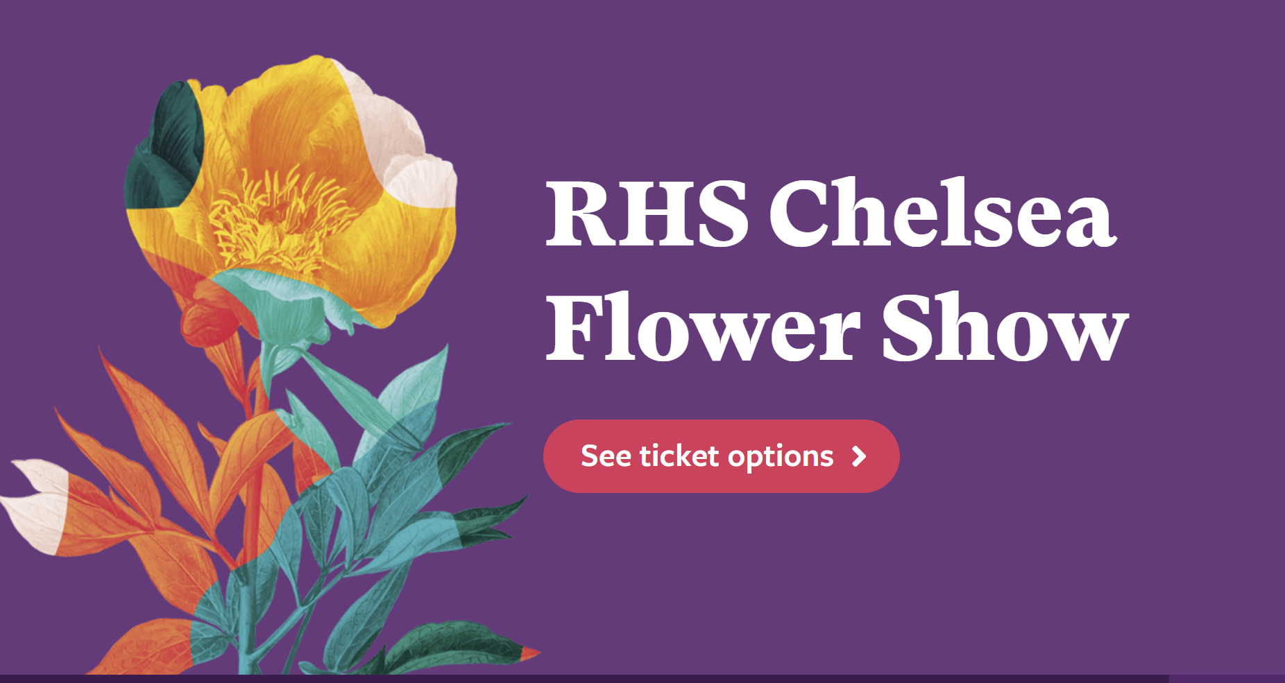 RHS Chelsea Flower Show