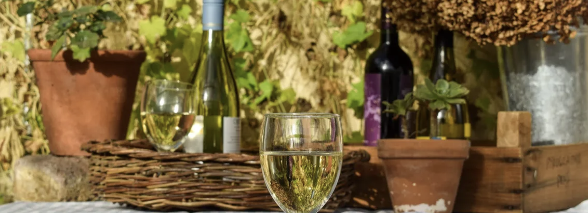 Wine tasting in the walled garden