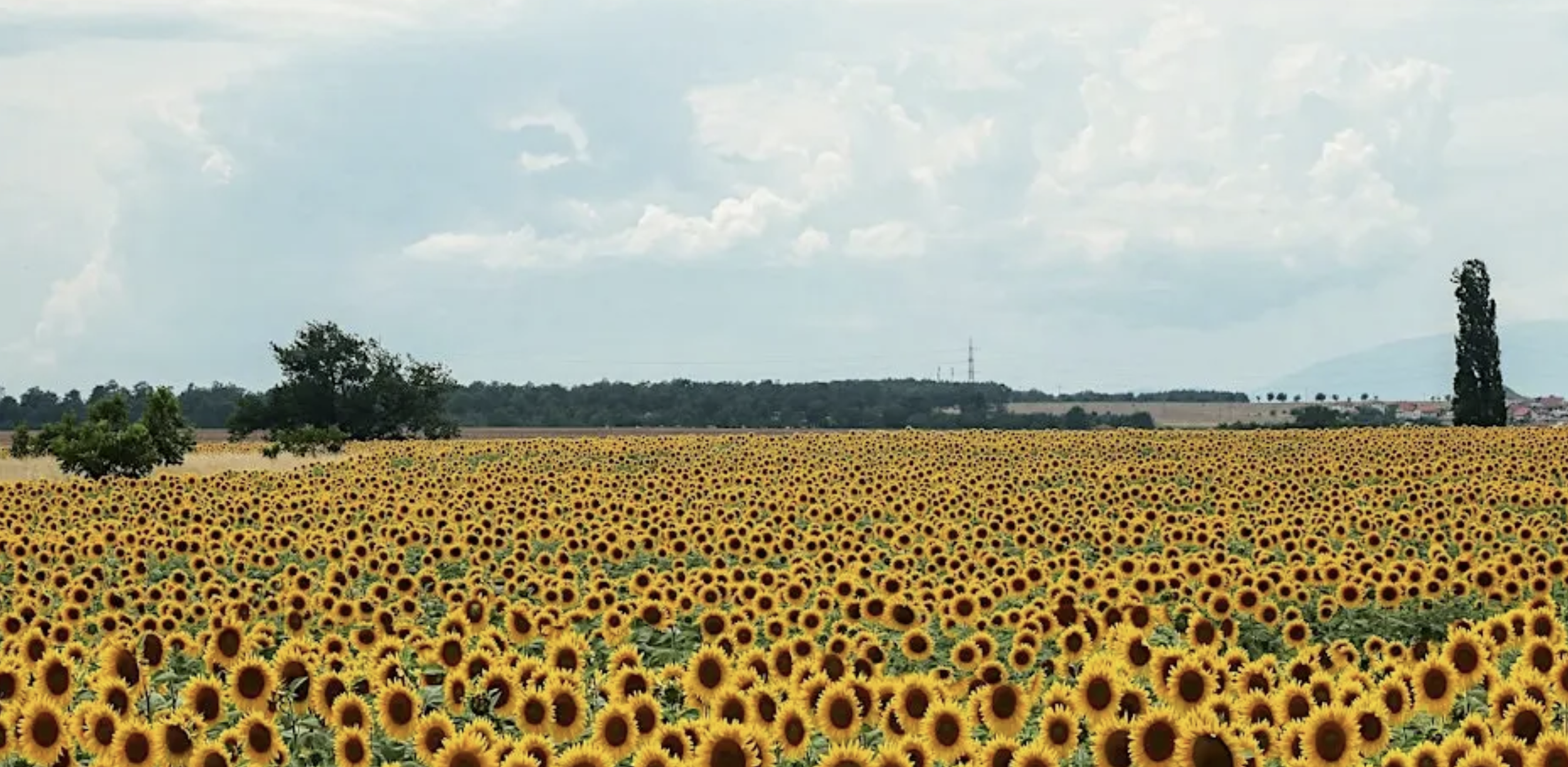 2026 Radical Statistics Conference