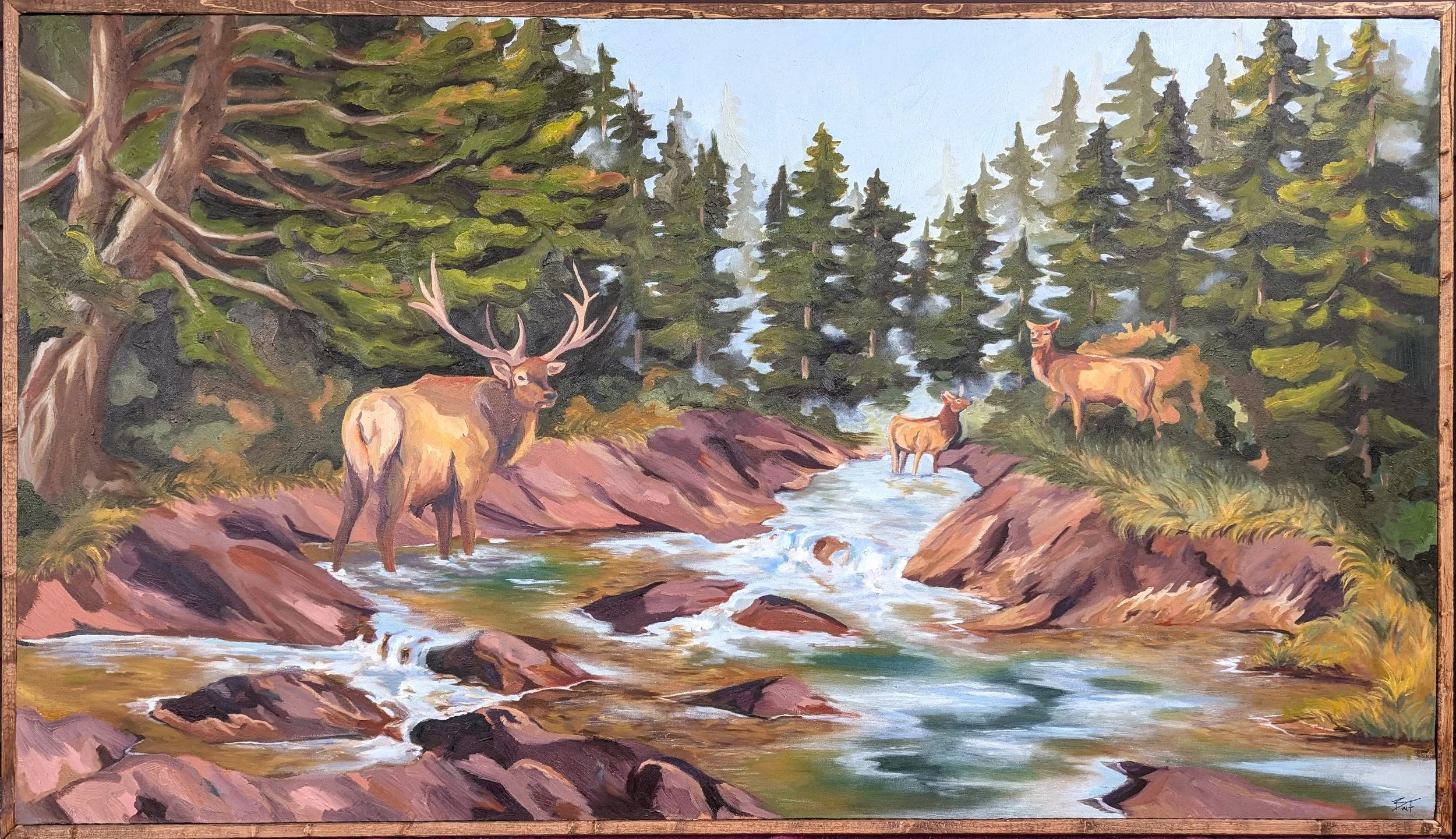 "Scenic Elk" Oil on Canvas, Framed, 60"x34", 2025, COMMISSIONED