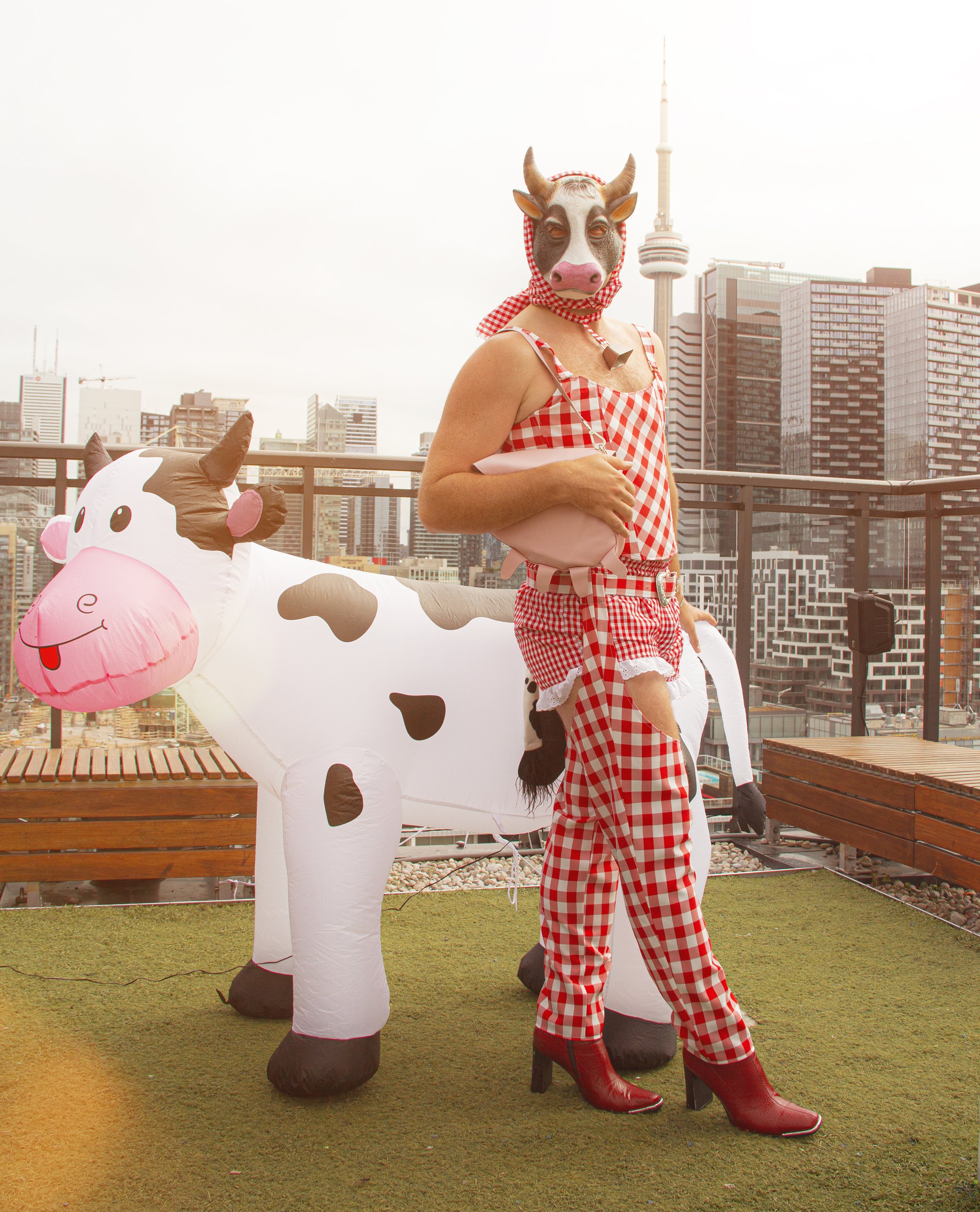Mitch Rodeo1.jpg