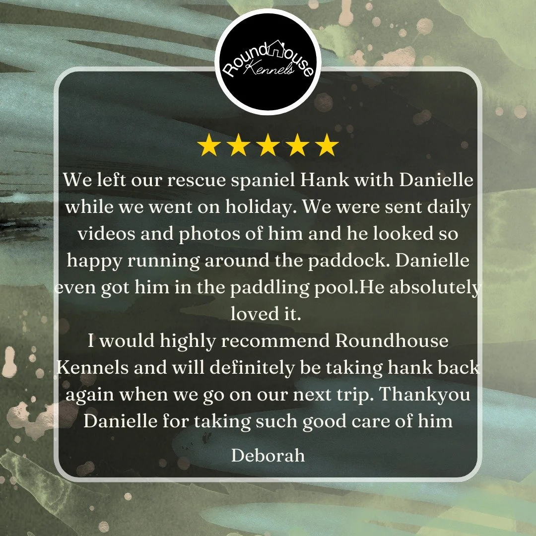 Another lovely review, thanks Deborah!