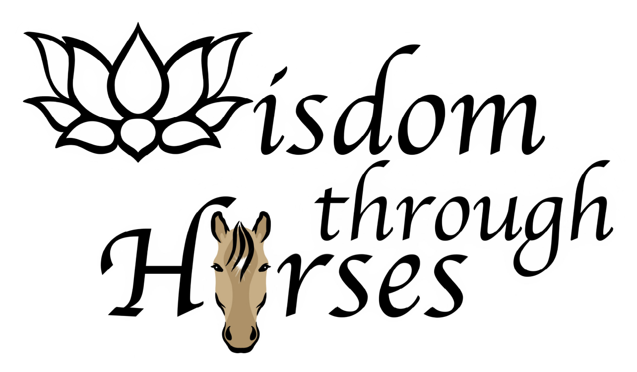 Wisdom Through Horses: Little Boots, Big Wisdom 