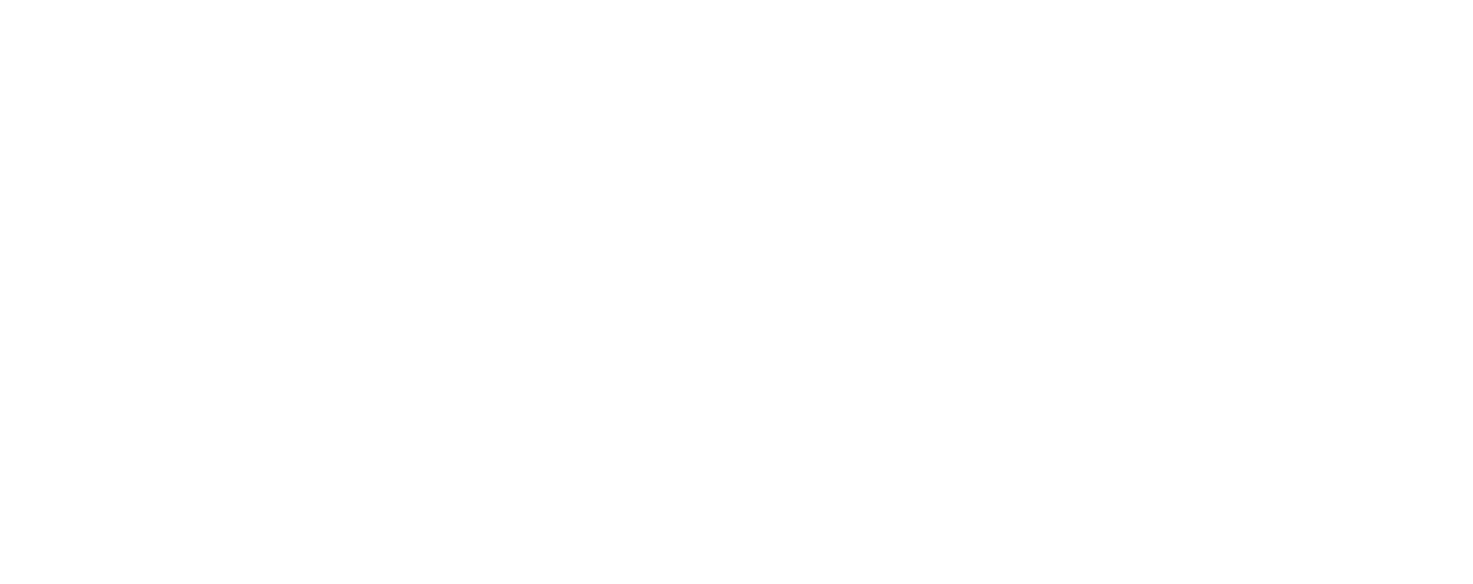 Free Reins Equine