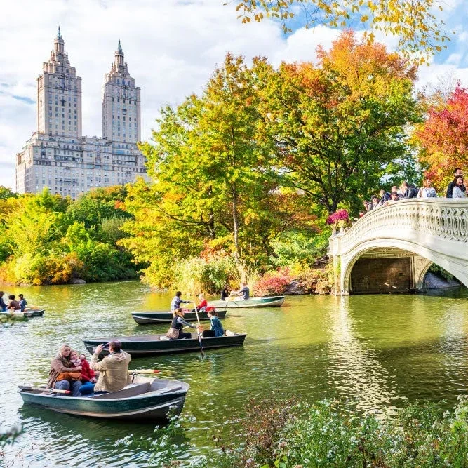 CENTRAL PARK