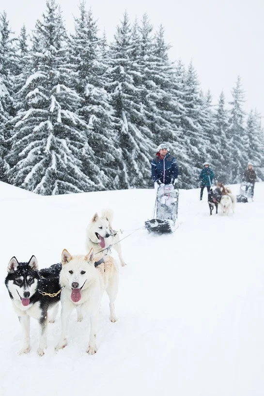 DOG SLEDDING