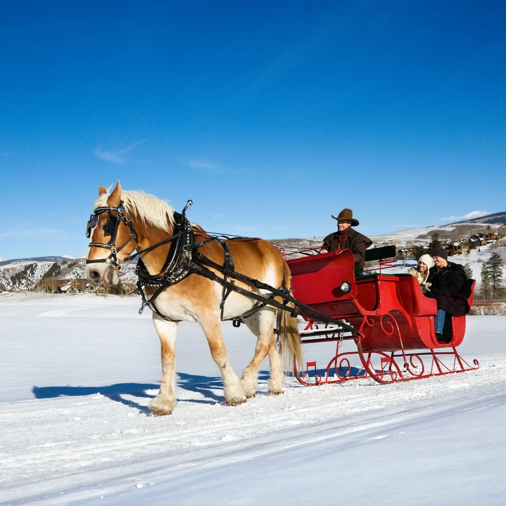 SLEIGH RIDE