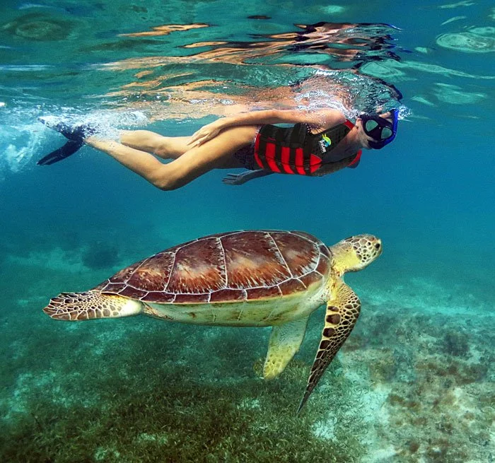 Snorkeling