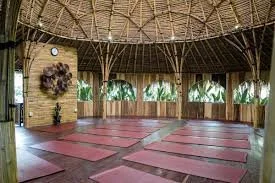 Yoga Class at Radiantly Alive or The Yoga Barn