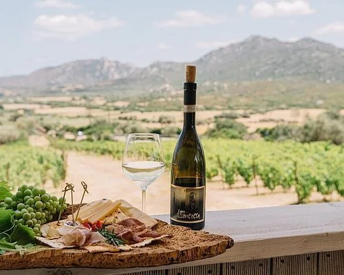 Wine Tour