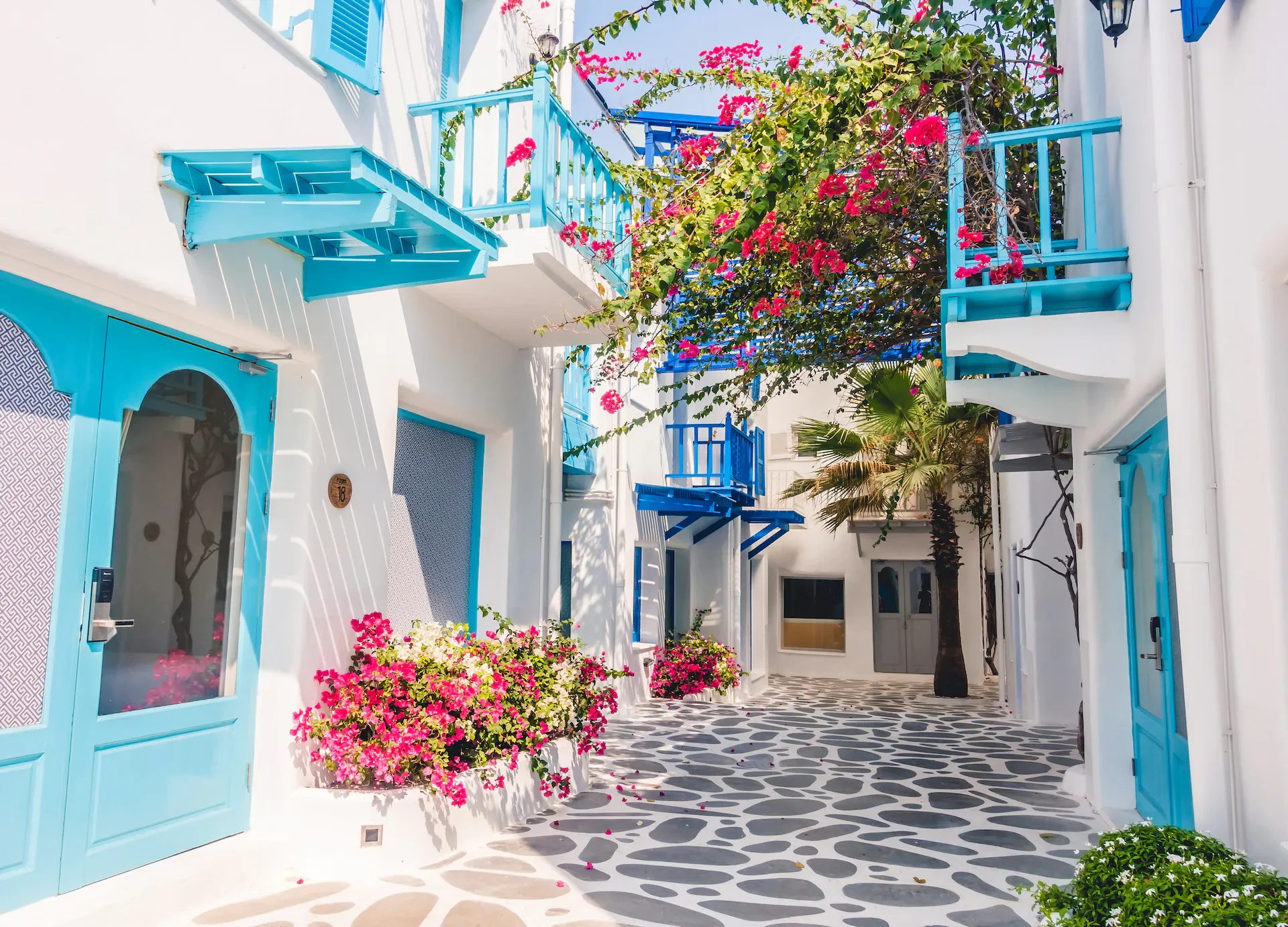 Explore Chora