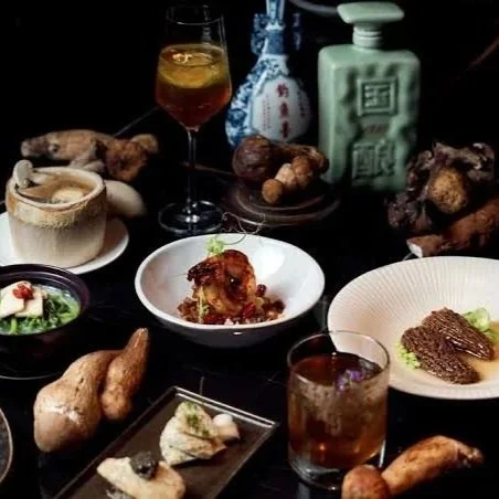 Mott 32