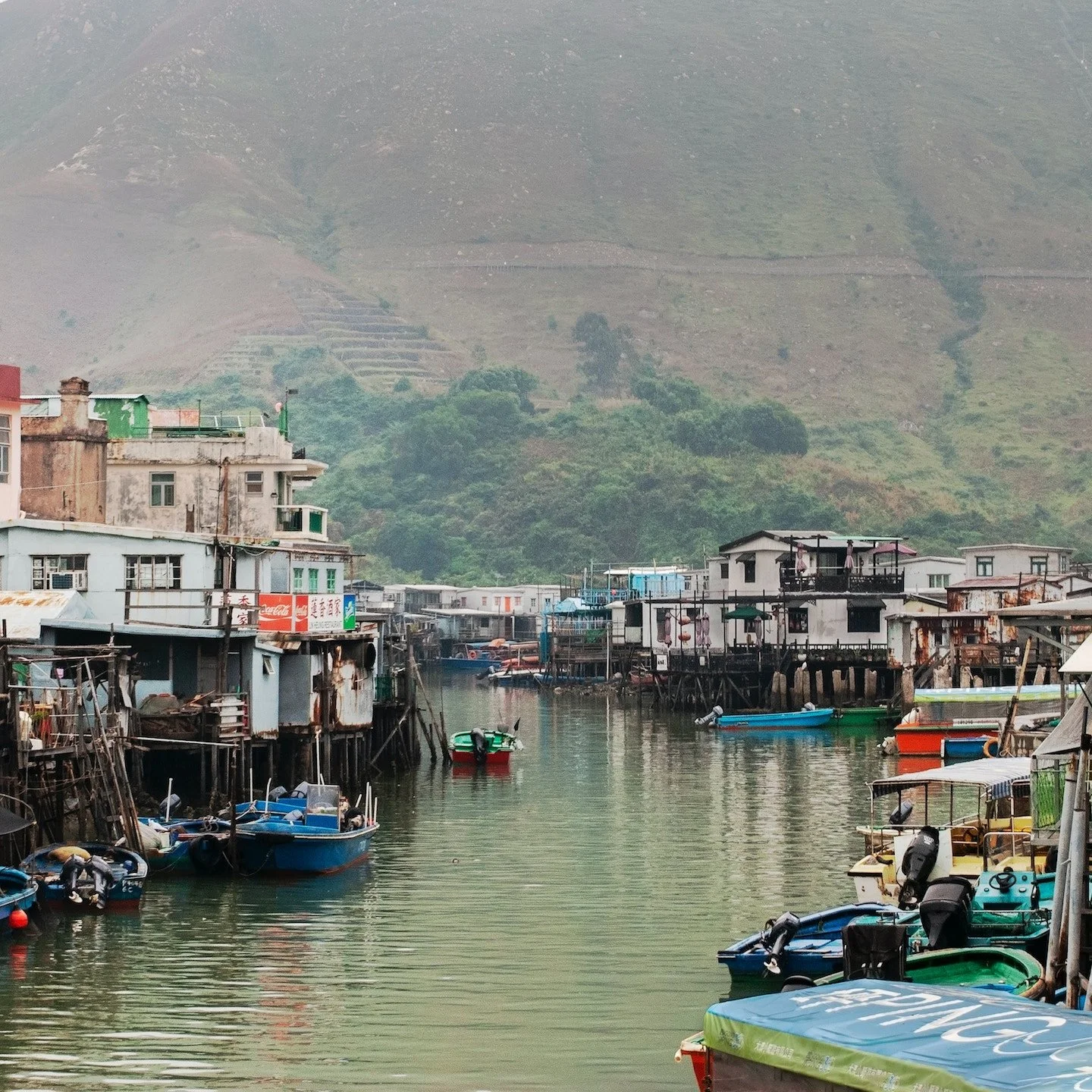 Tai O Fishing Village Day Trip