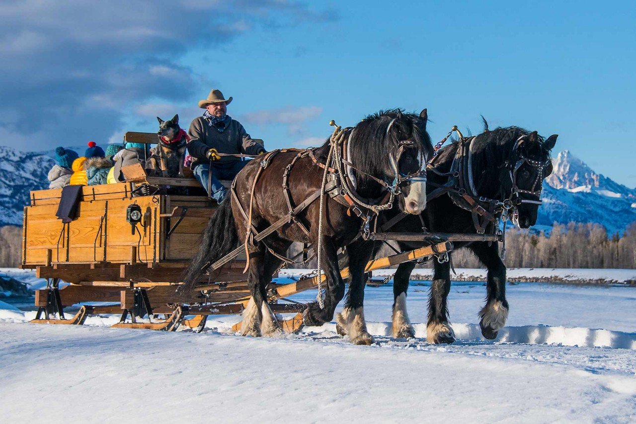 Sleigh Ride