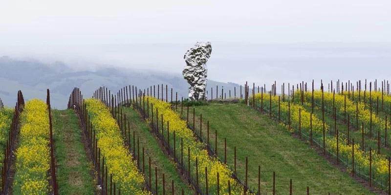 The Donum Estate