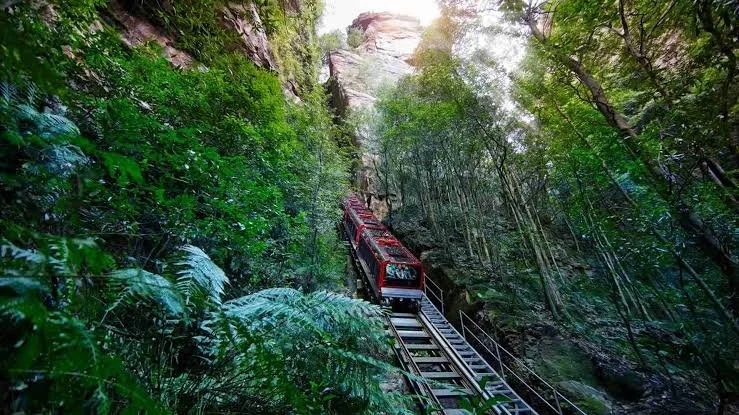 Blue Mountains Day Trip